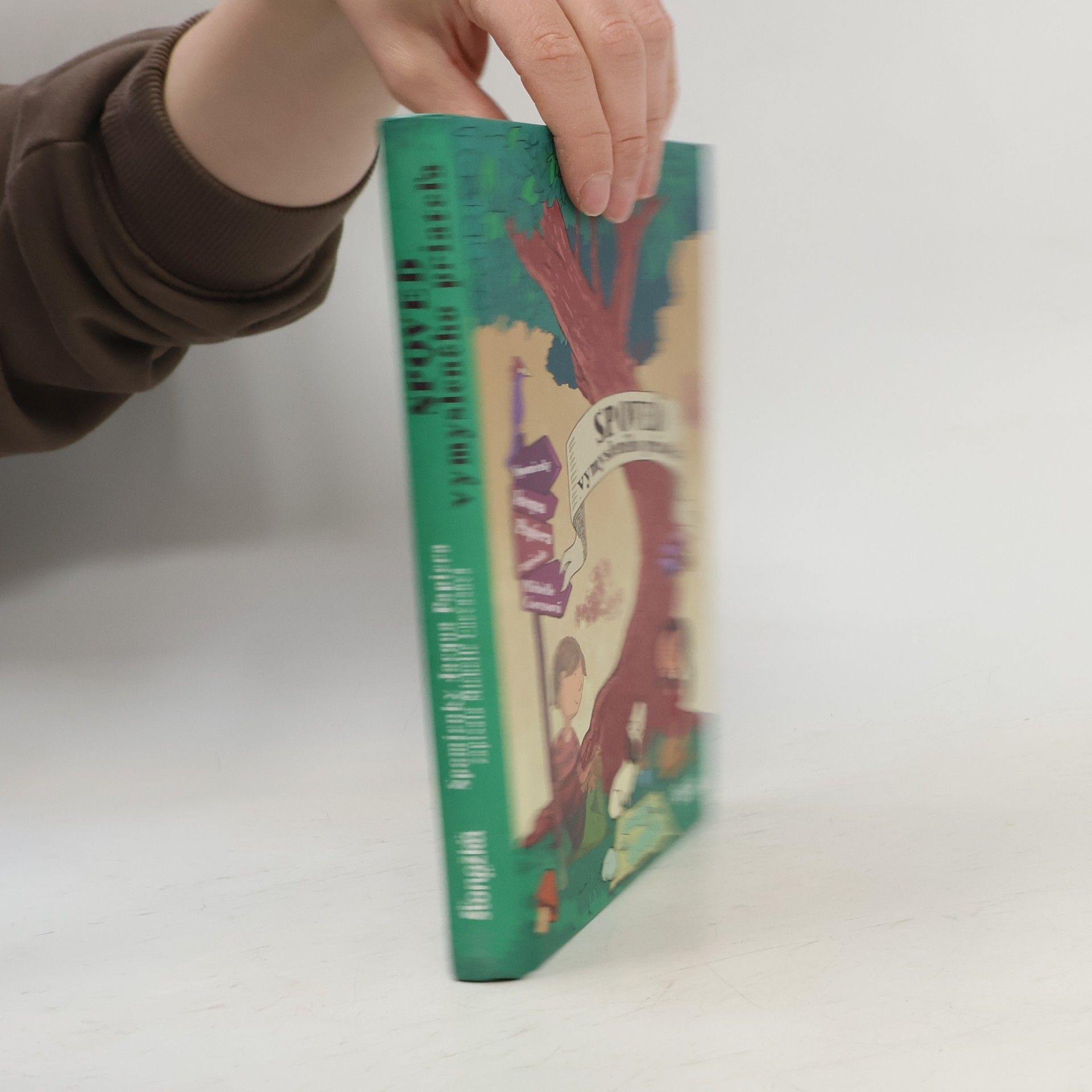 Michelle Cuevas Spoveď vymysleného priateľa