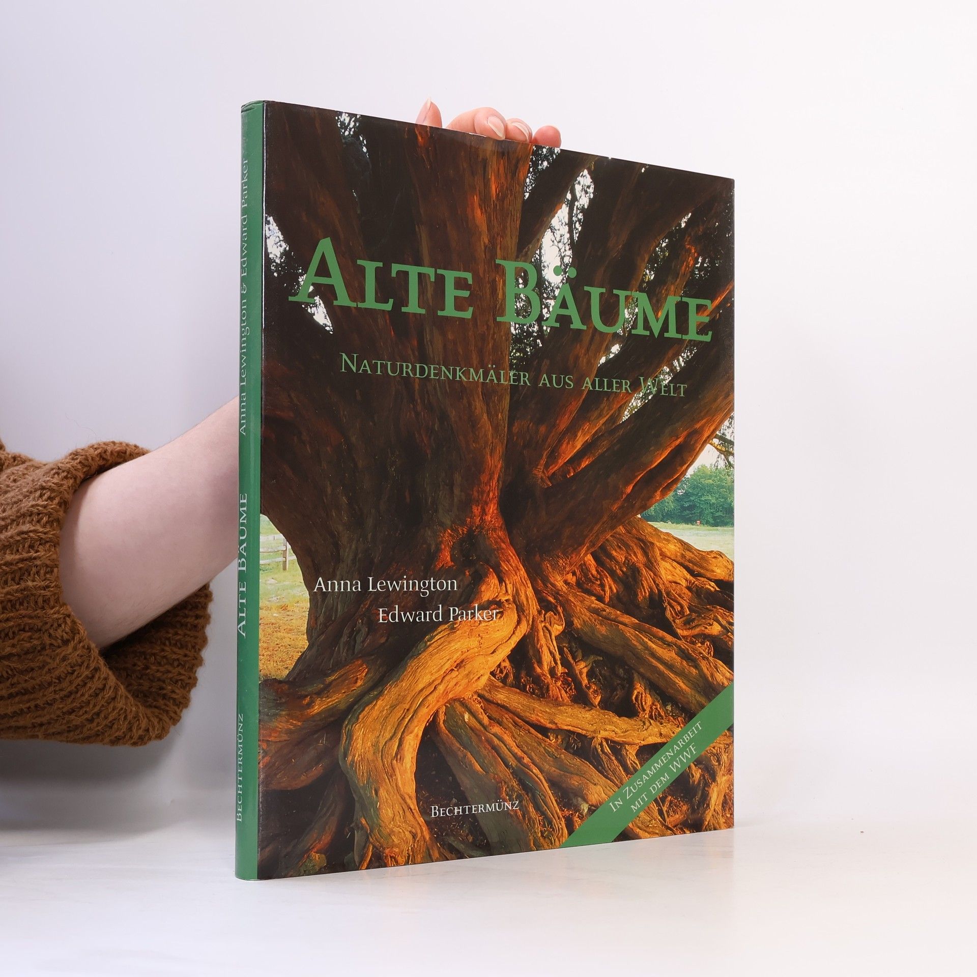 Anna Lewington Alte Bäume