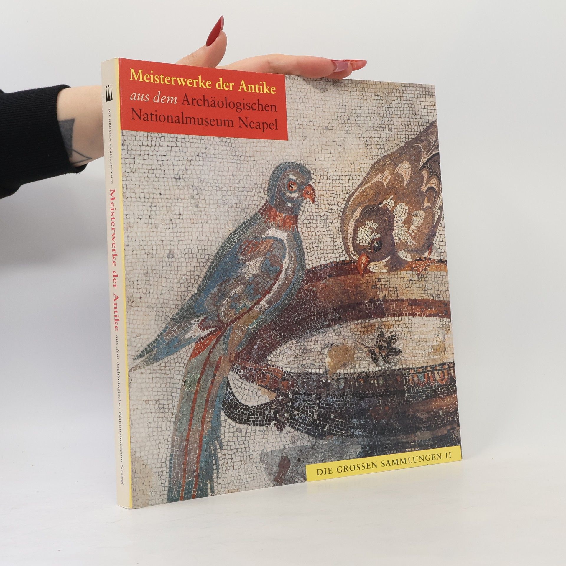 Kolektív autorov Meisterwerke der Antike aus dem Archäologischen Nationalmuseum Neapel
