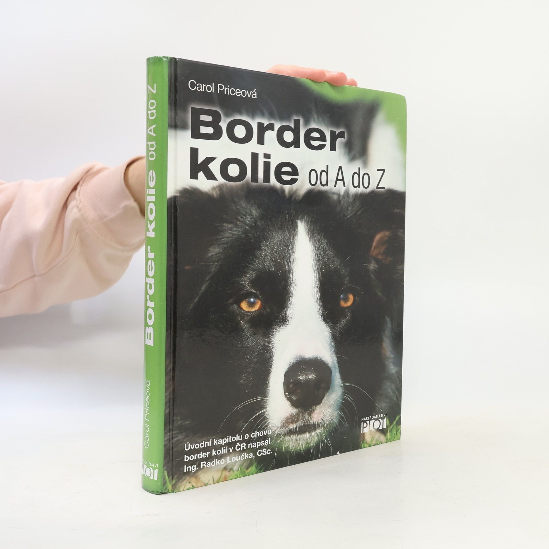 Carol Price Border kolie od A do Z