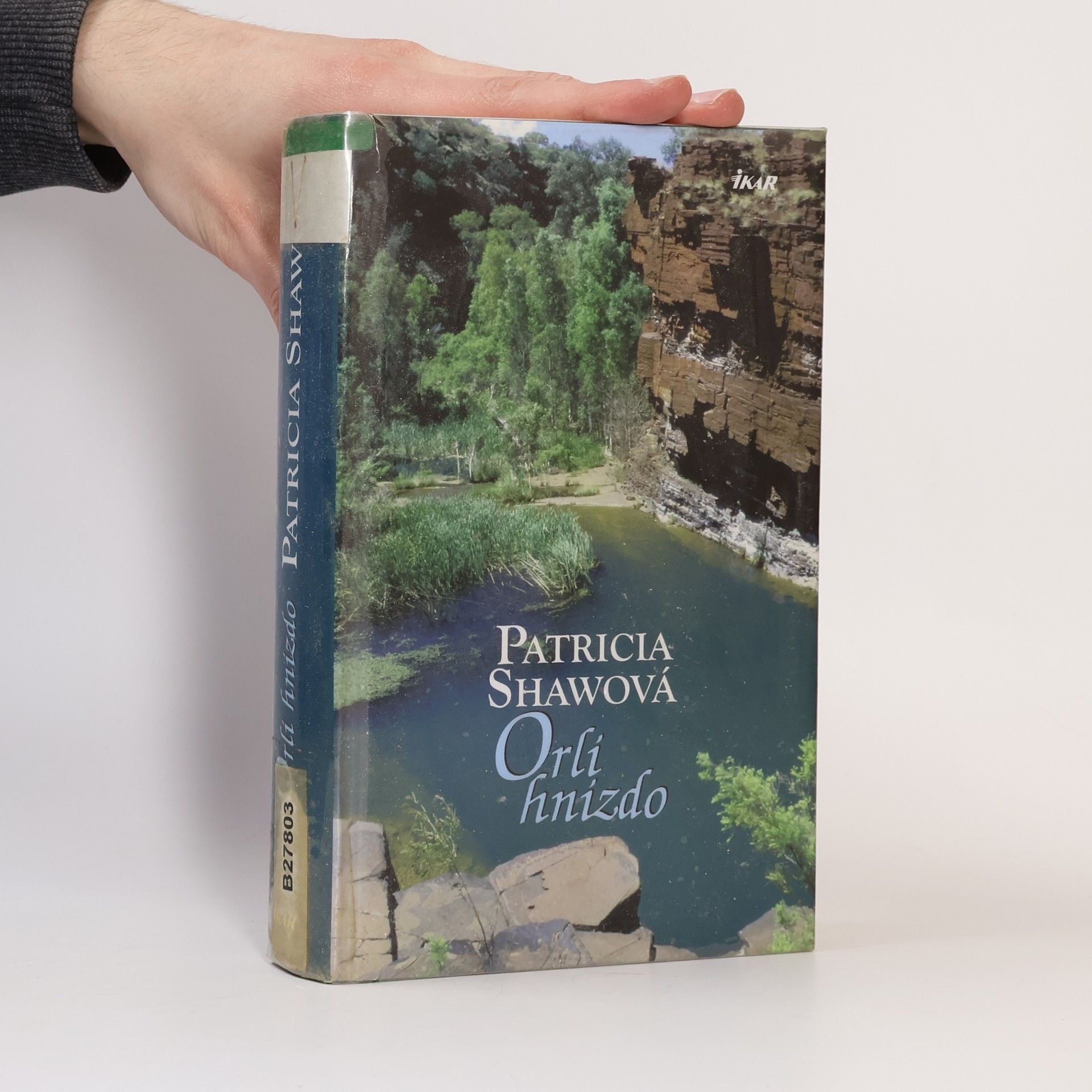 Patricia Shaw Orlí hnízdo