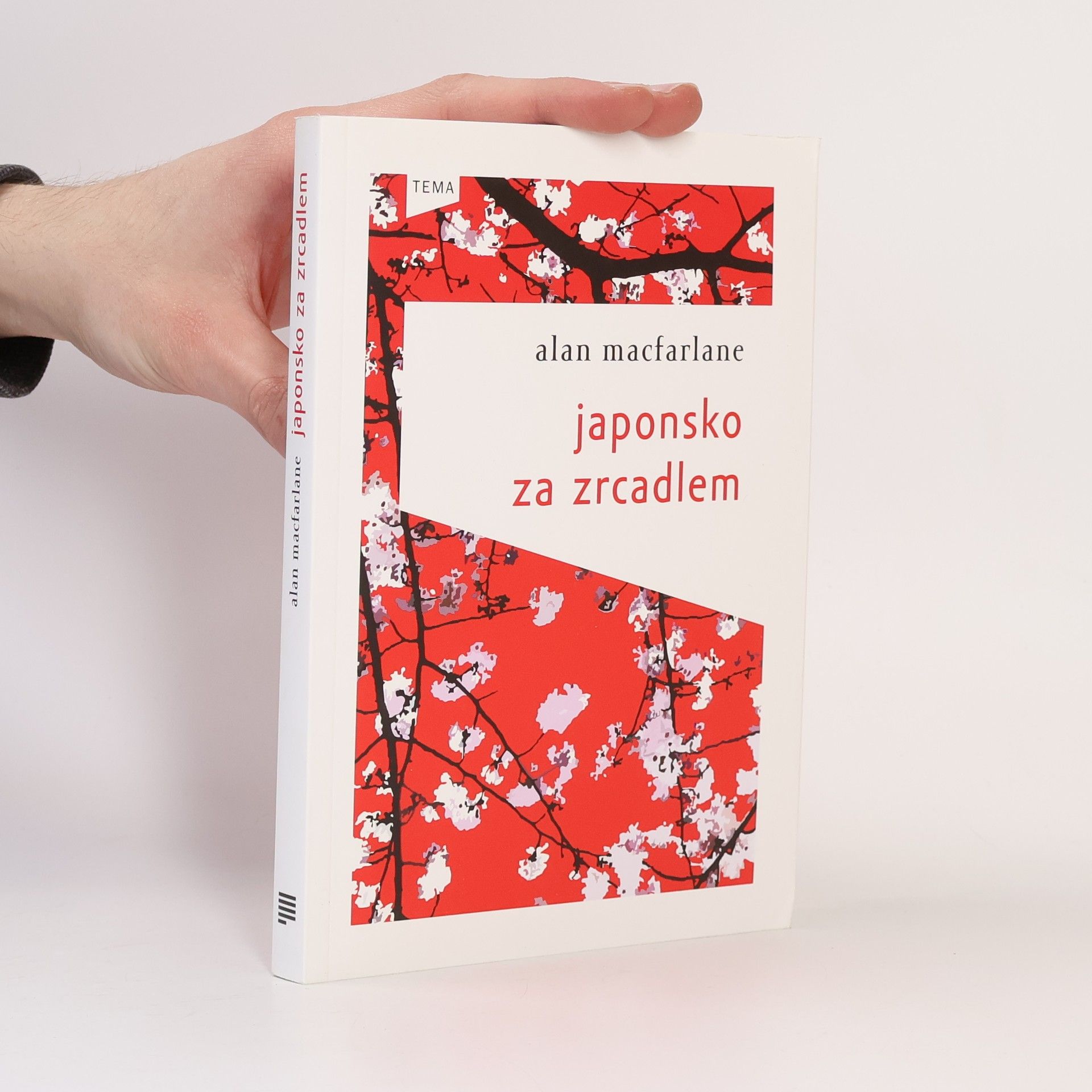 Alan Macfarlane Japonsko za zrcadlem