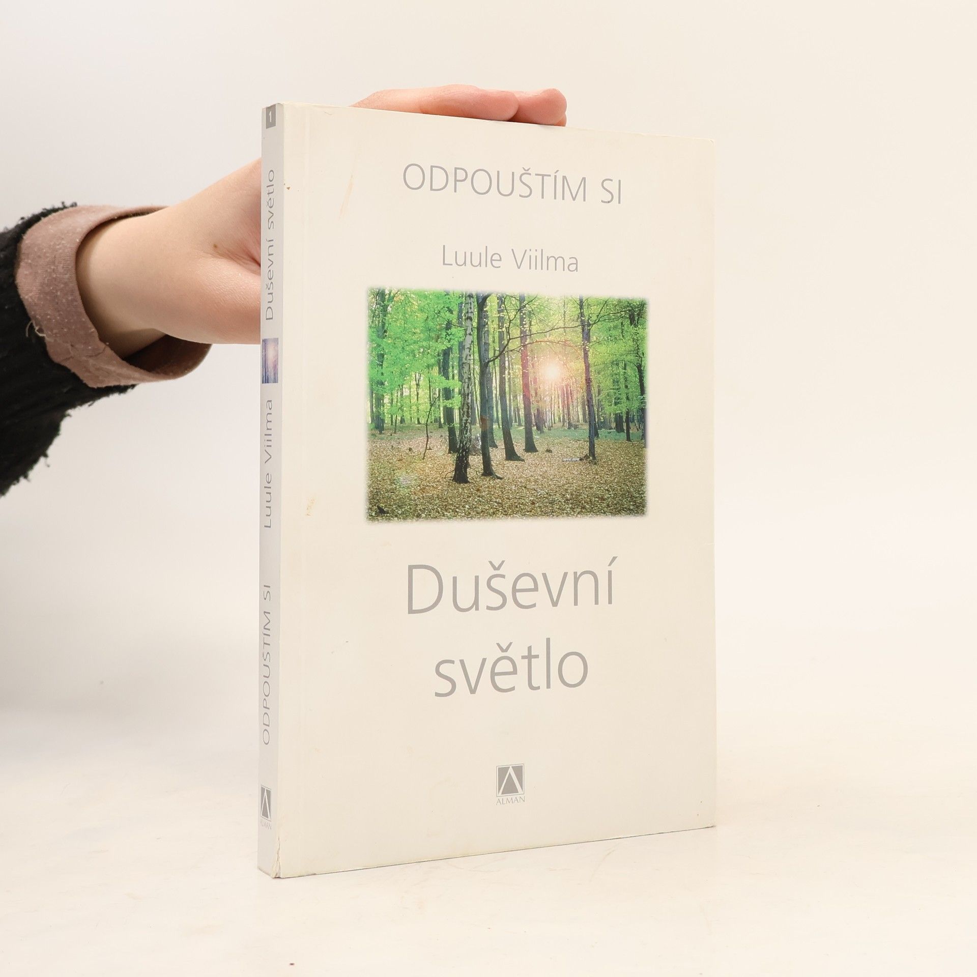 Luule Viilma Duševní světlo