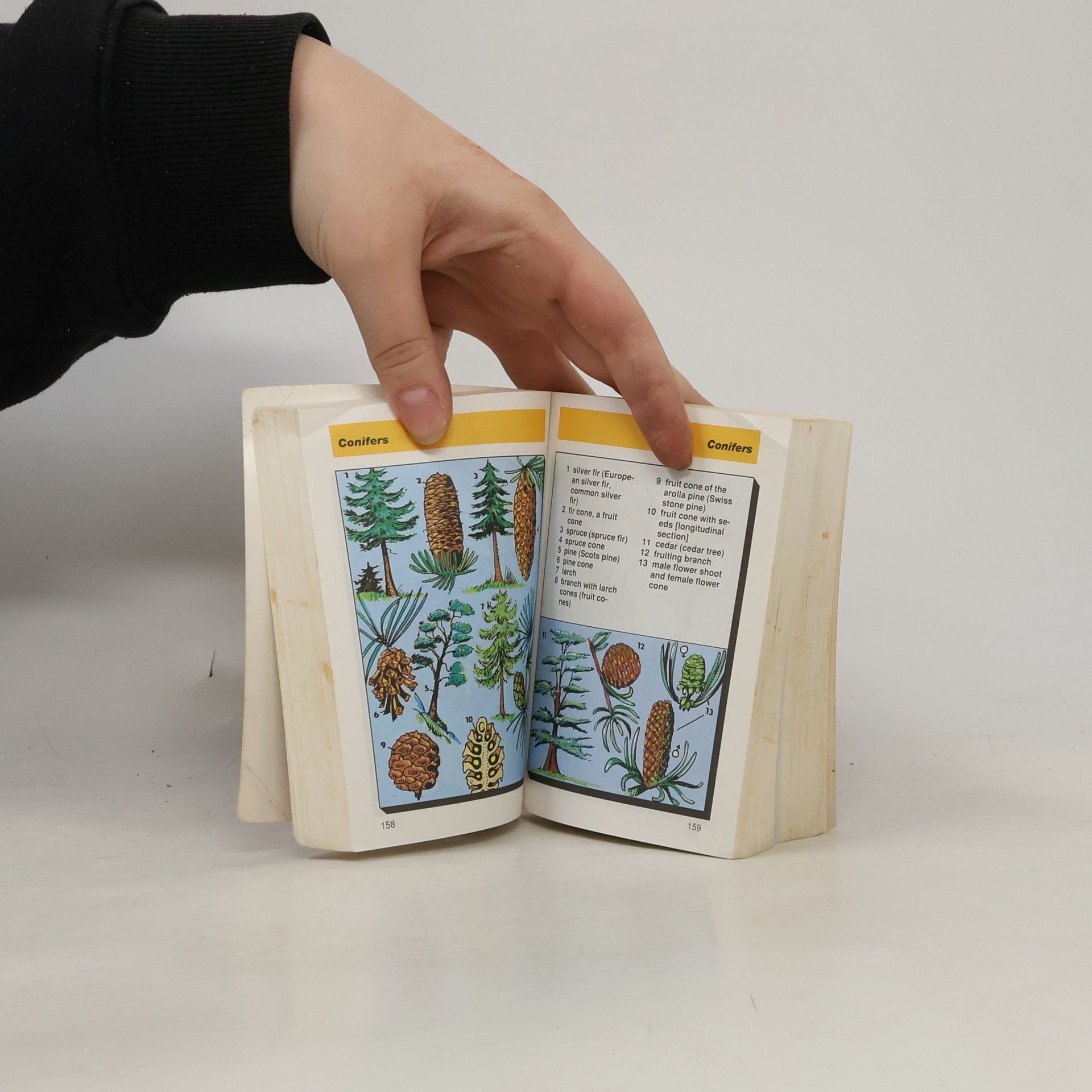 Antonín Šplíchal Pictorial Dictionary: English