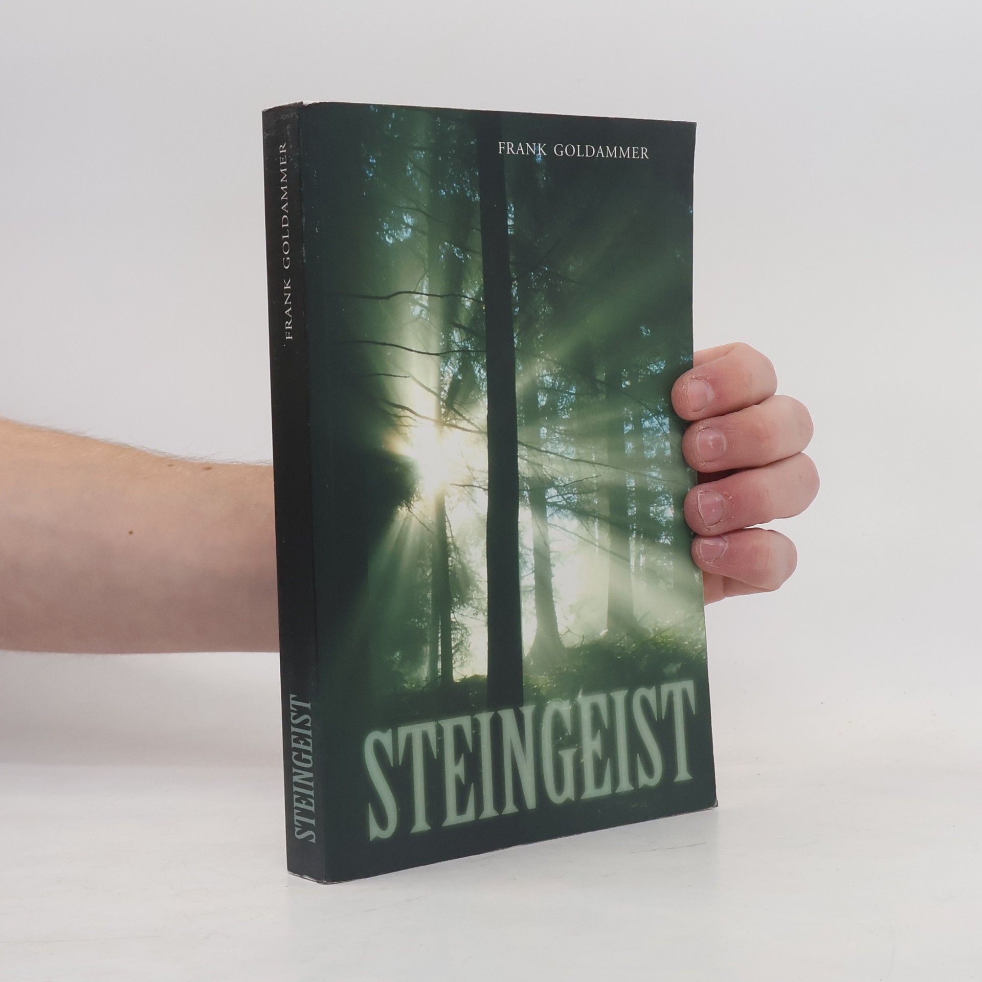 Frank Goldammer Steingeist