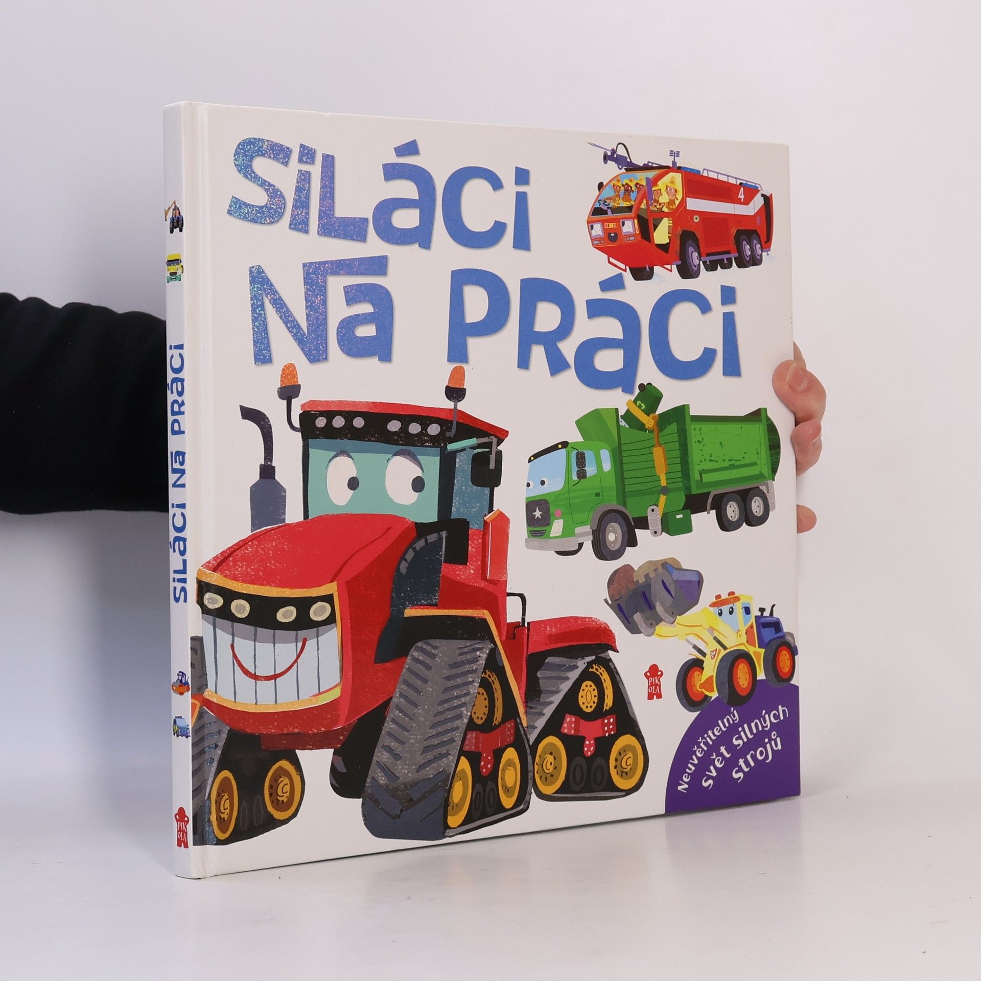 Tereza Procházková Siláci na práci