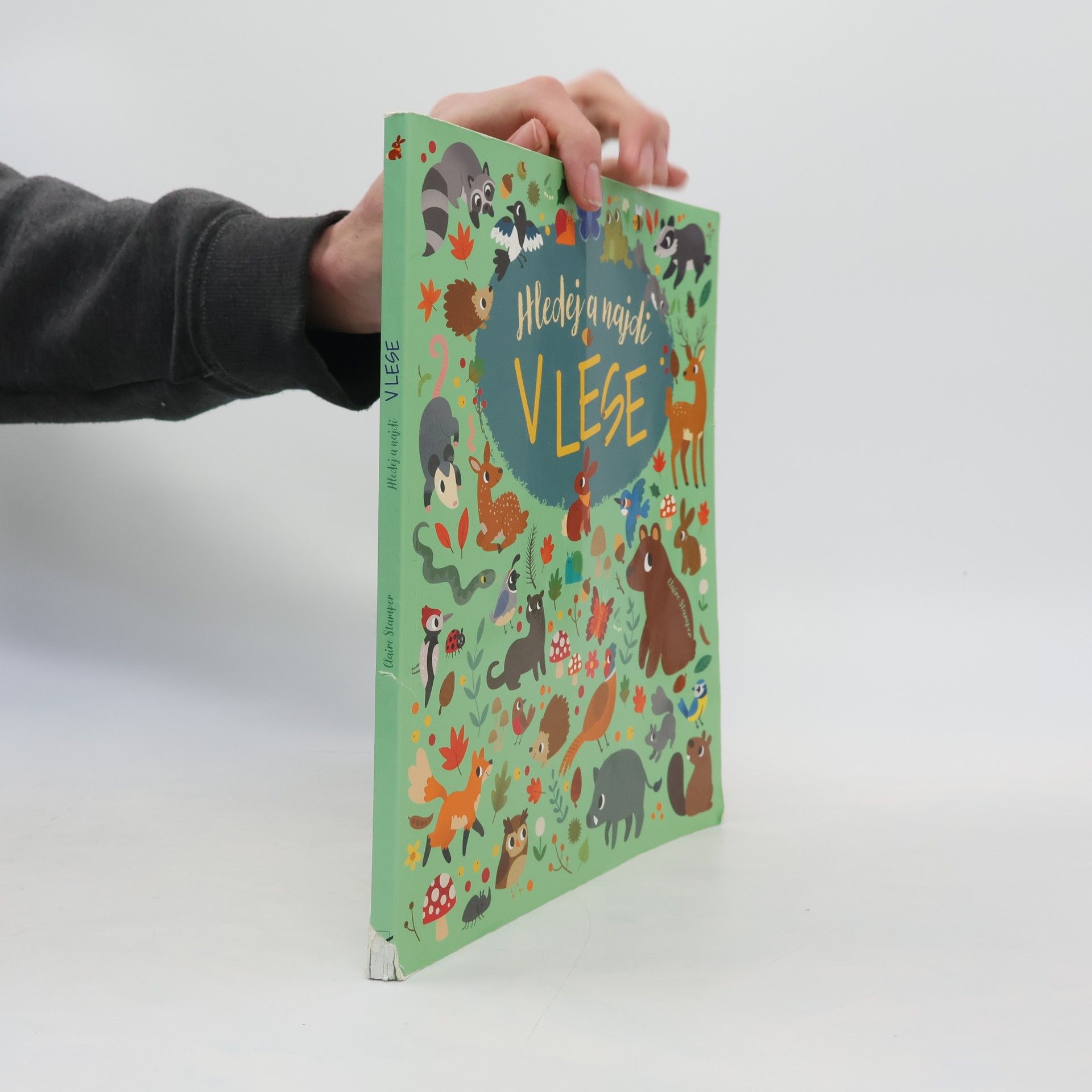 Hledej a najdi V lese