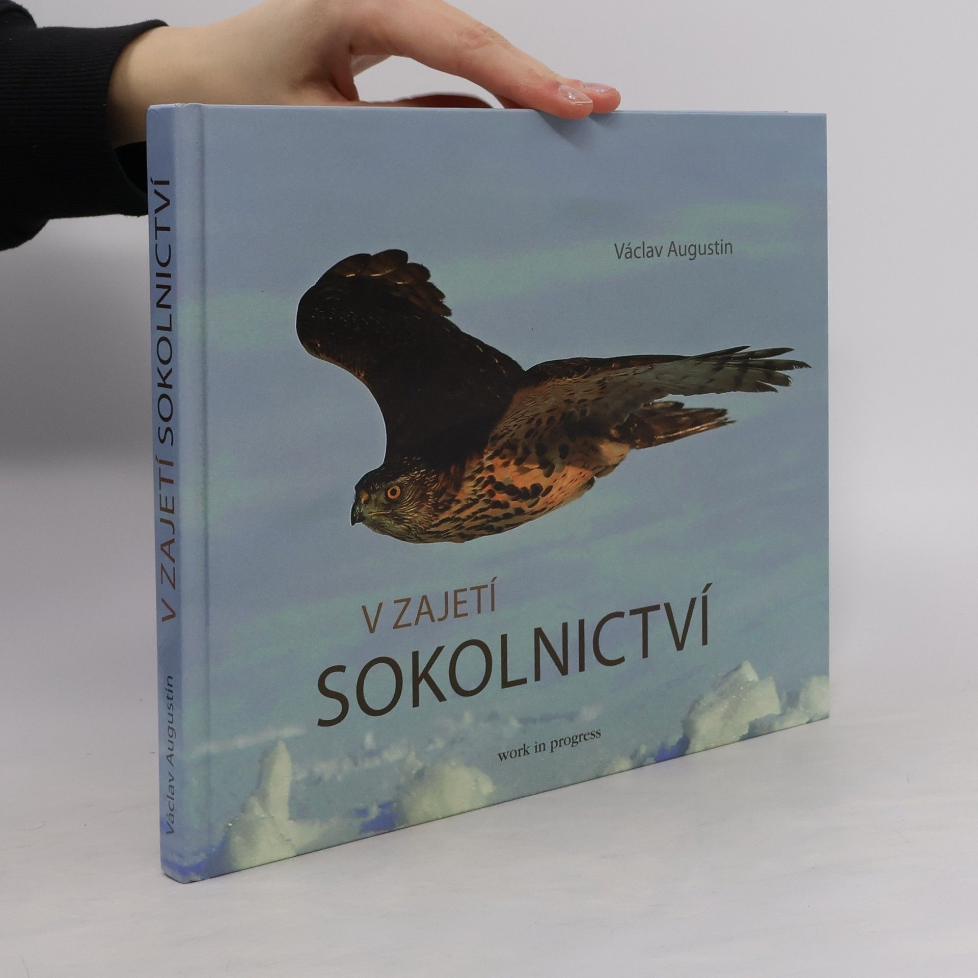 Václav Augustin V zajetí sokolnictví