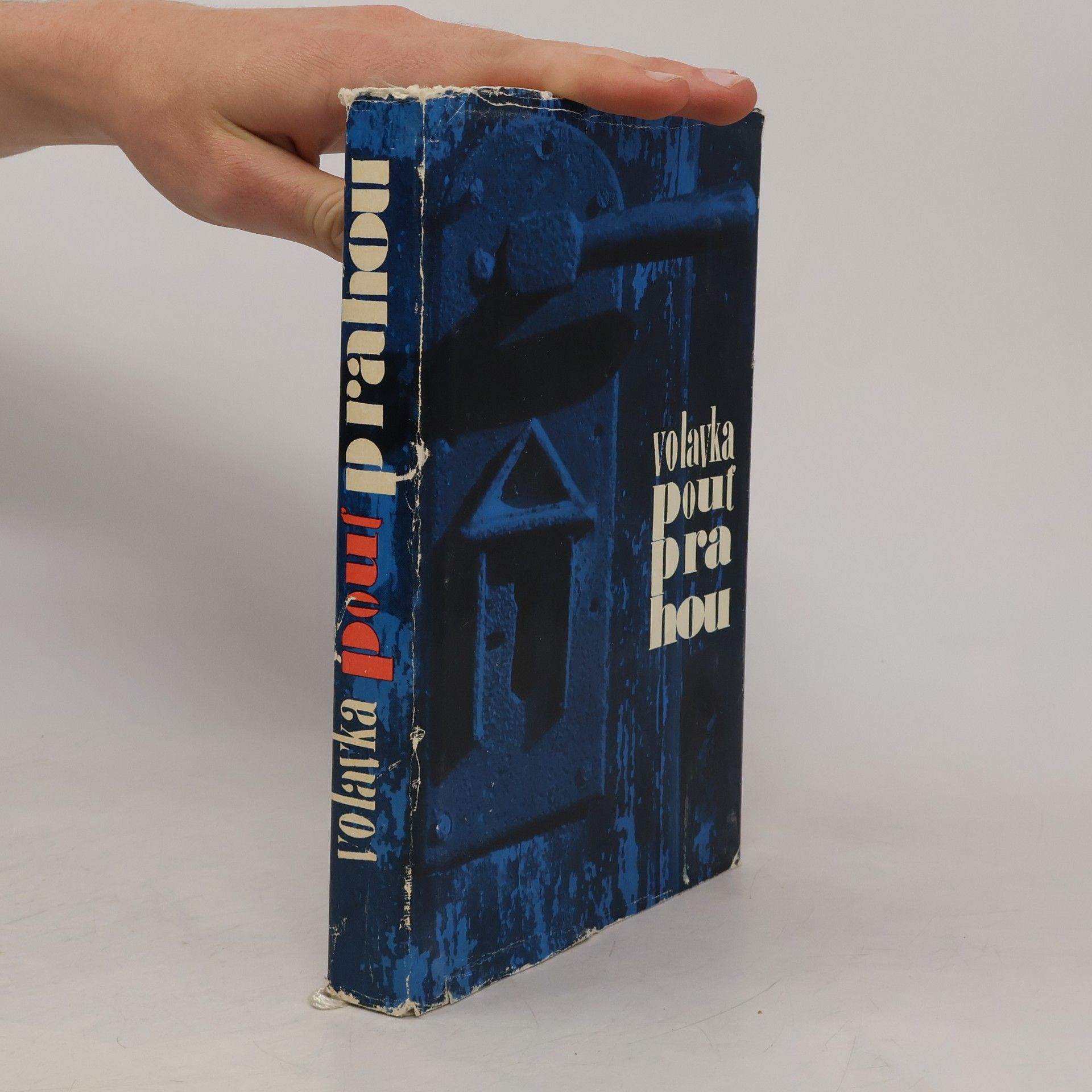 Vojtěch Volavka Pouť Prahou