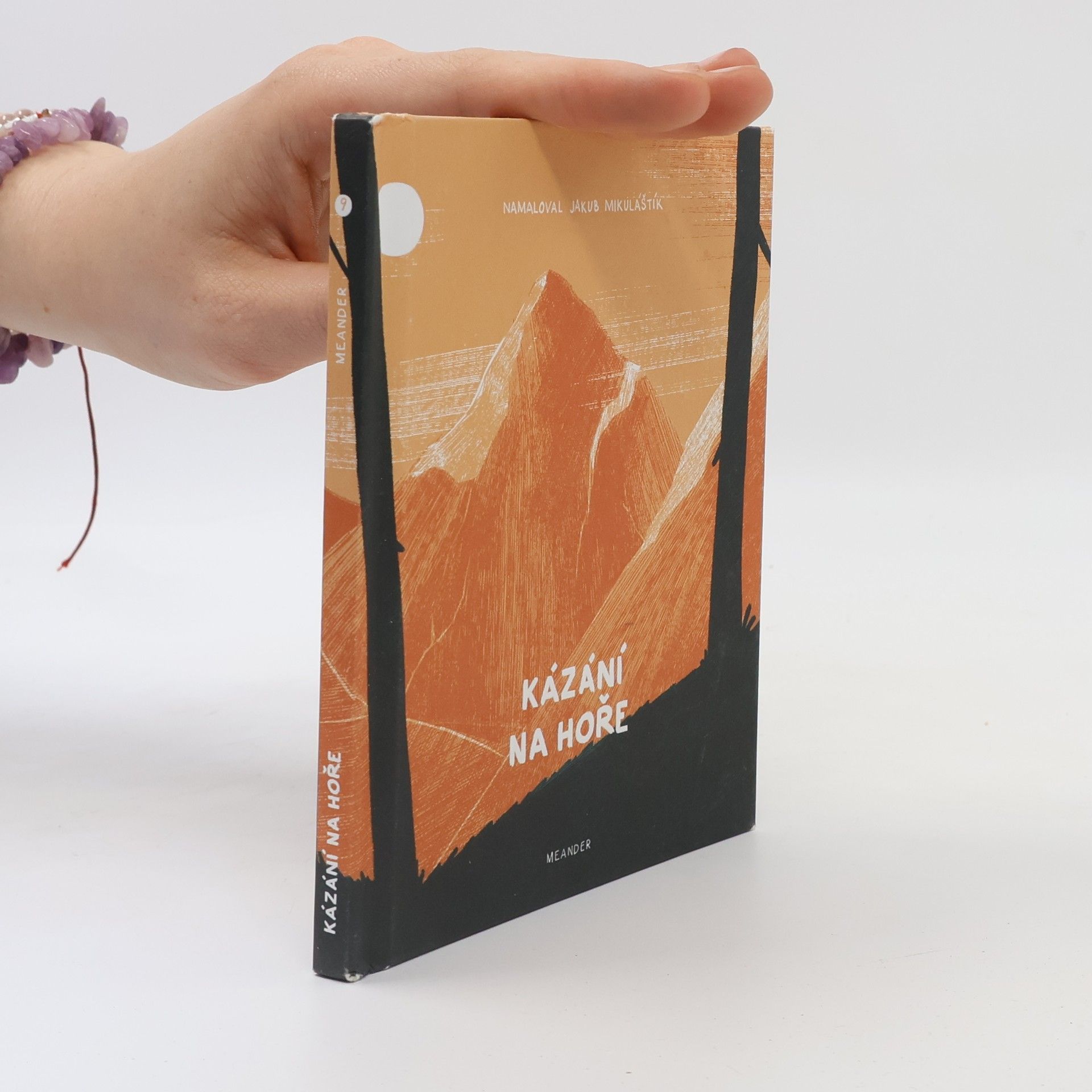 Ivana Pecháčková Kázání na hoře