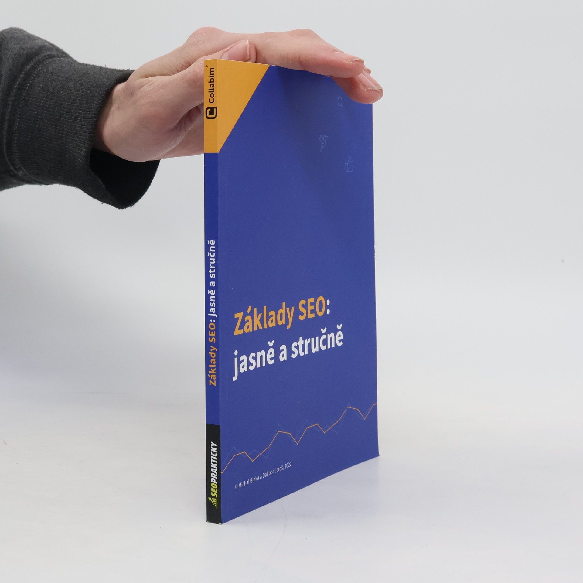 Dalibor Jaroš Základy SEO: Jasně a stručně