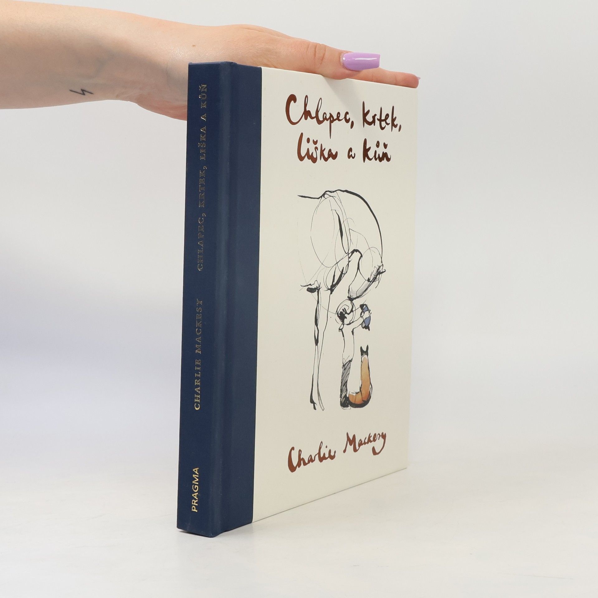 Charlie Mackesy Chlapec, krtek, liška a kůň