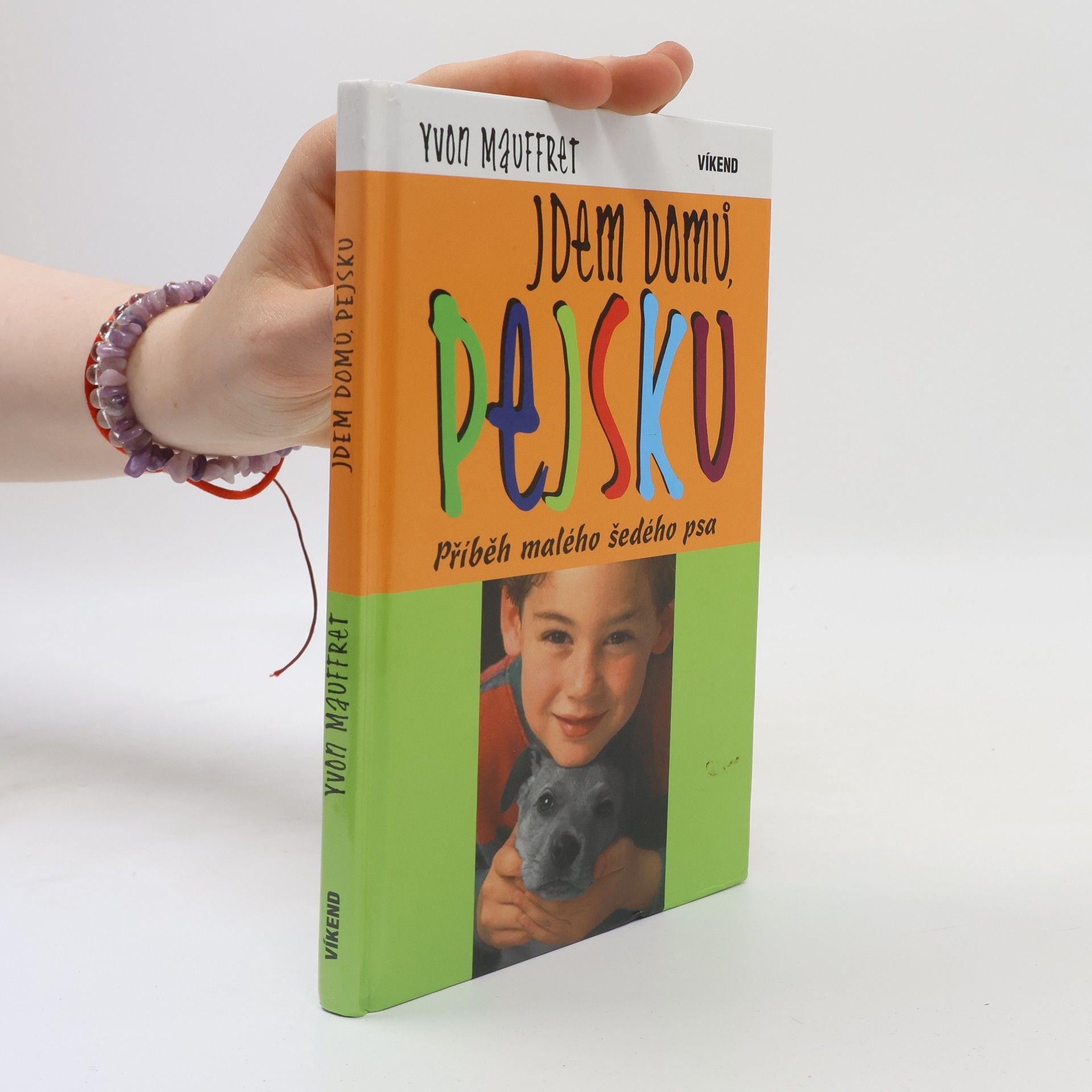 Yvon Mauffret Jdem domů, pejsku. Příběh malého šedého psa