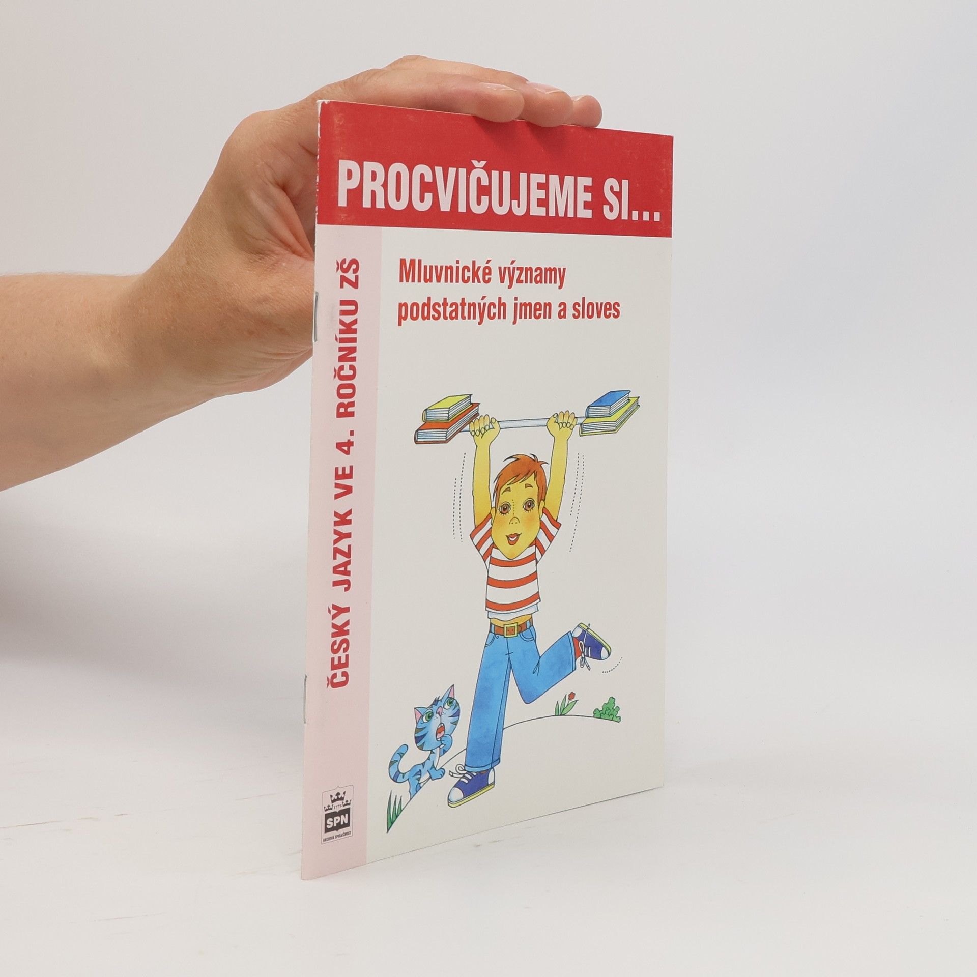 Kolektiv autorů Mluvnické kategorie podstatných jmen a sloves