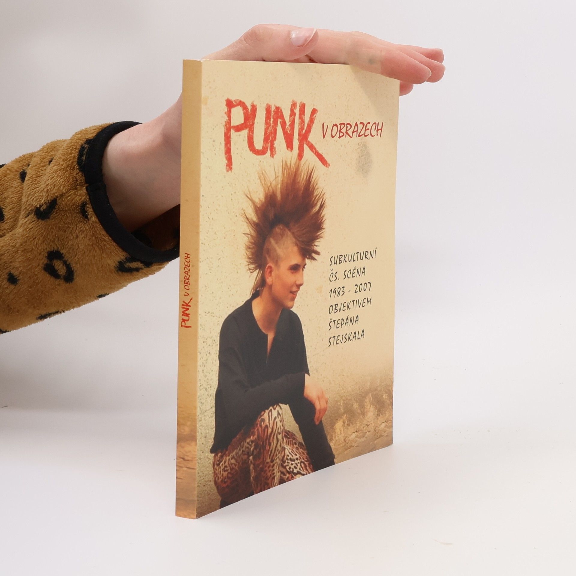 Radka Veverková Punk v obrazech