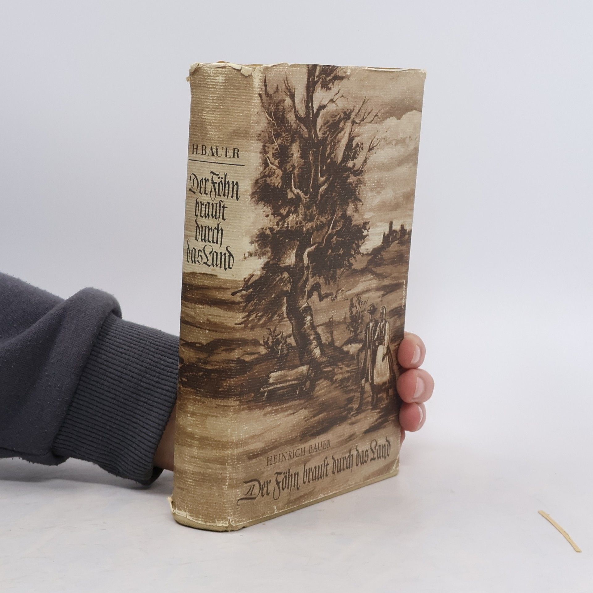 Heinrich Bauer Der Föhn braust durch das Land