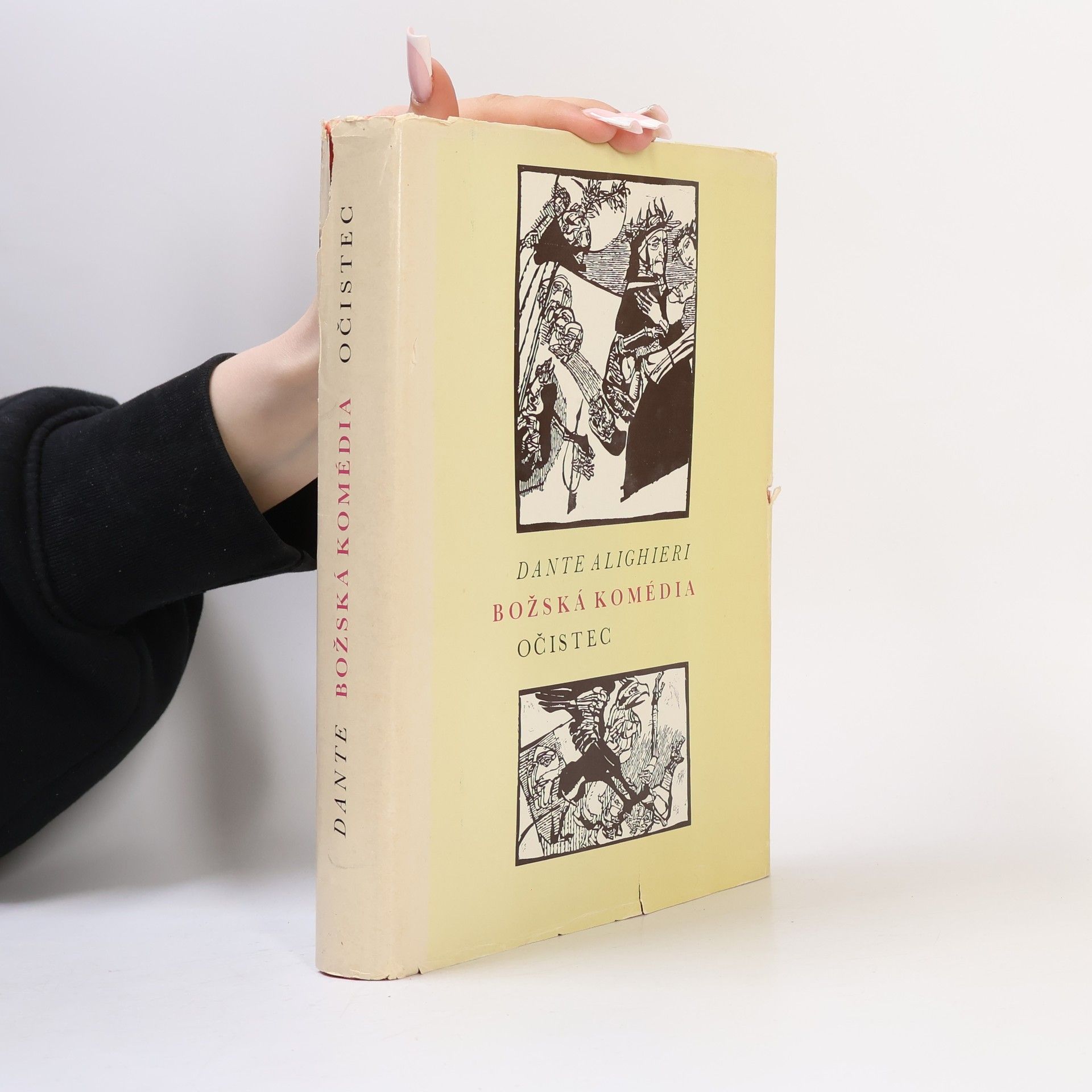 Dante Alighieri Božská komédia. Očistec