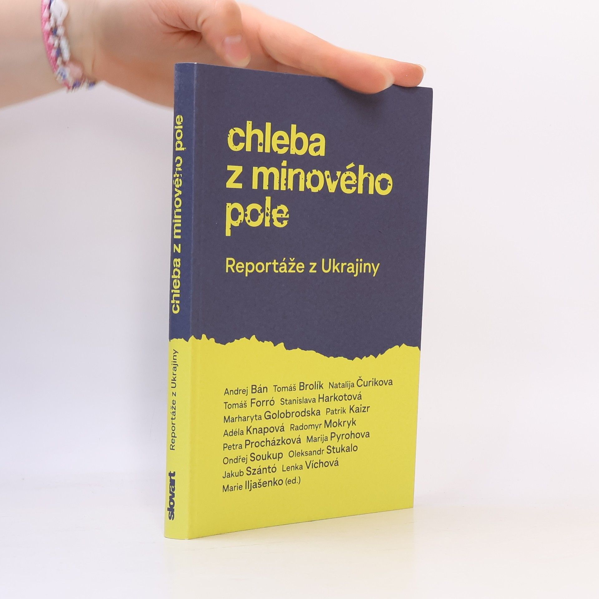 Kolektiv autorů Chleba z minového pole : reportáže z Ukrajiny