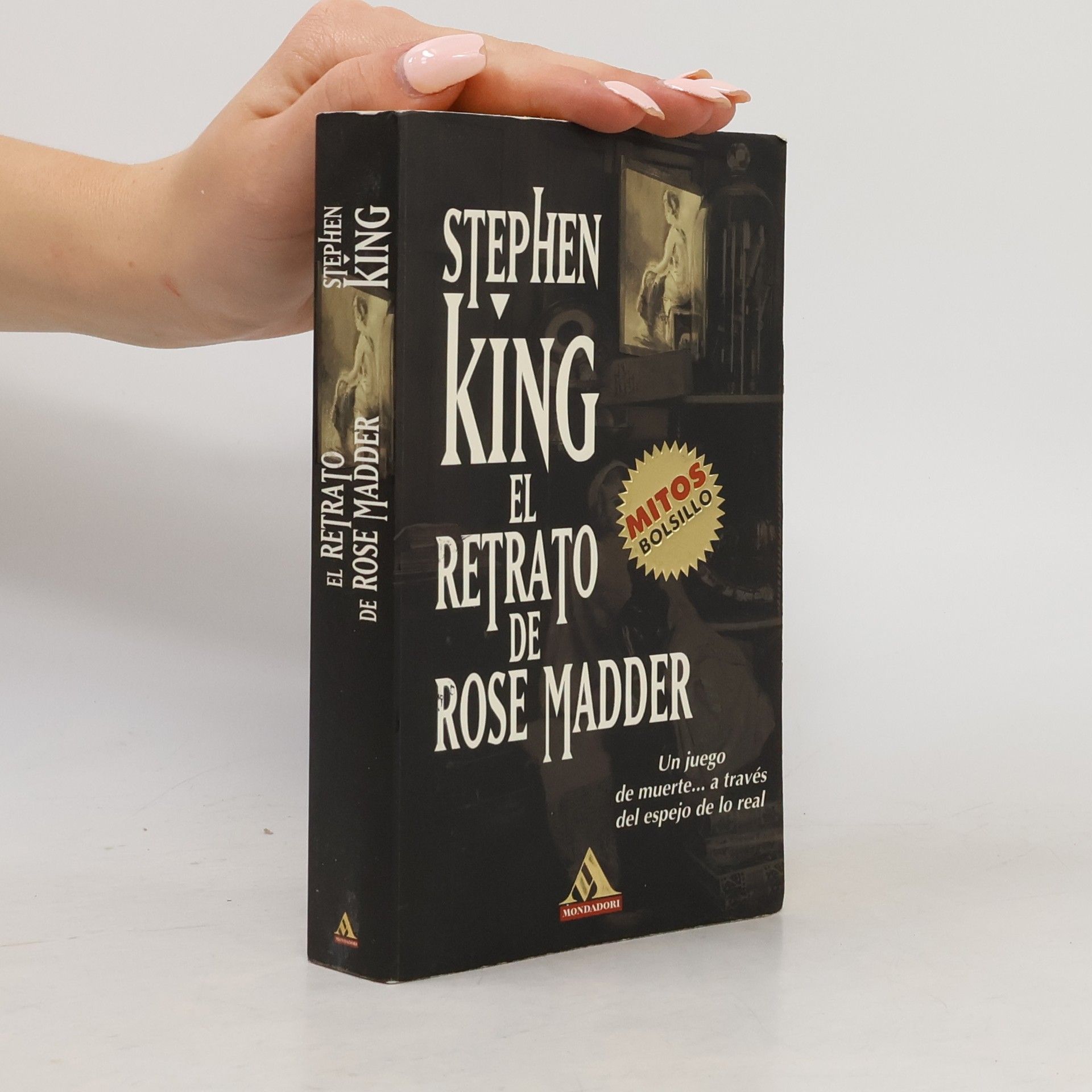 Bettina Blanch Tyroller El retrato de Rose Madder