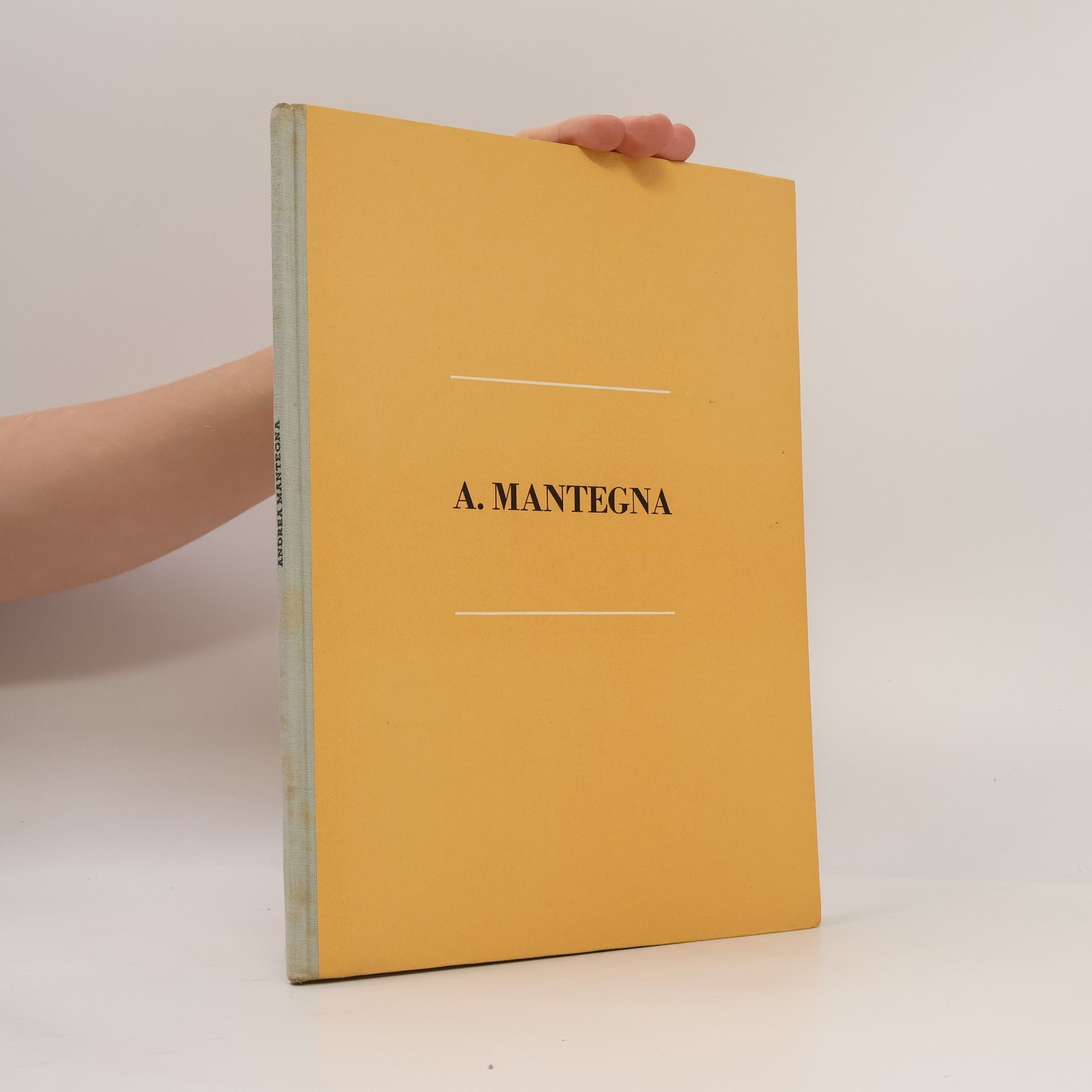 Albert Kutal Andrea Mantegna