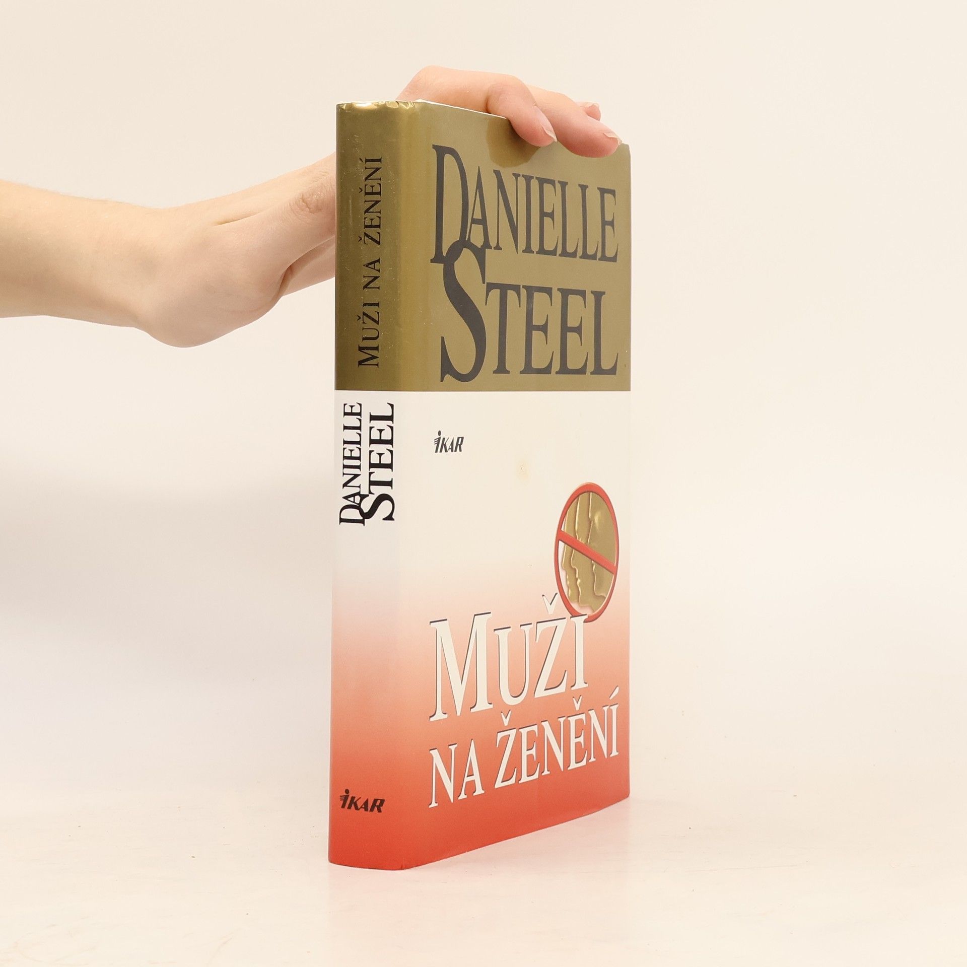 Danielle Steel Muži na ženění
