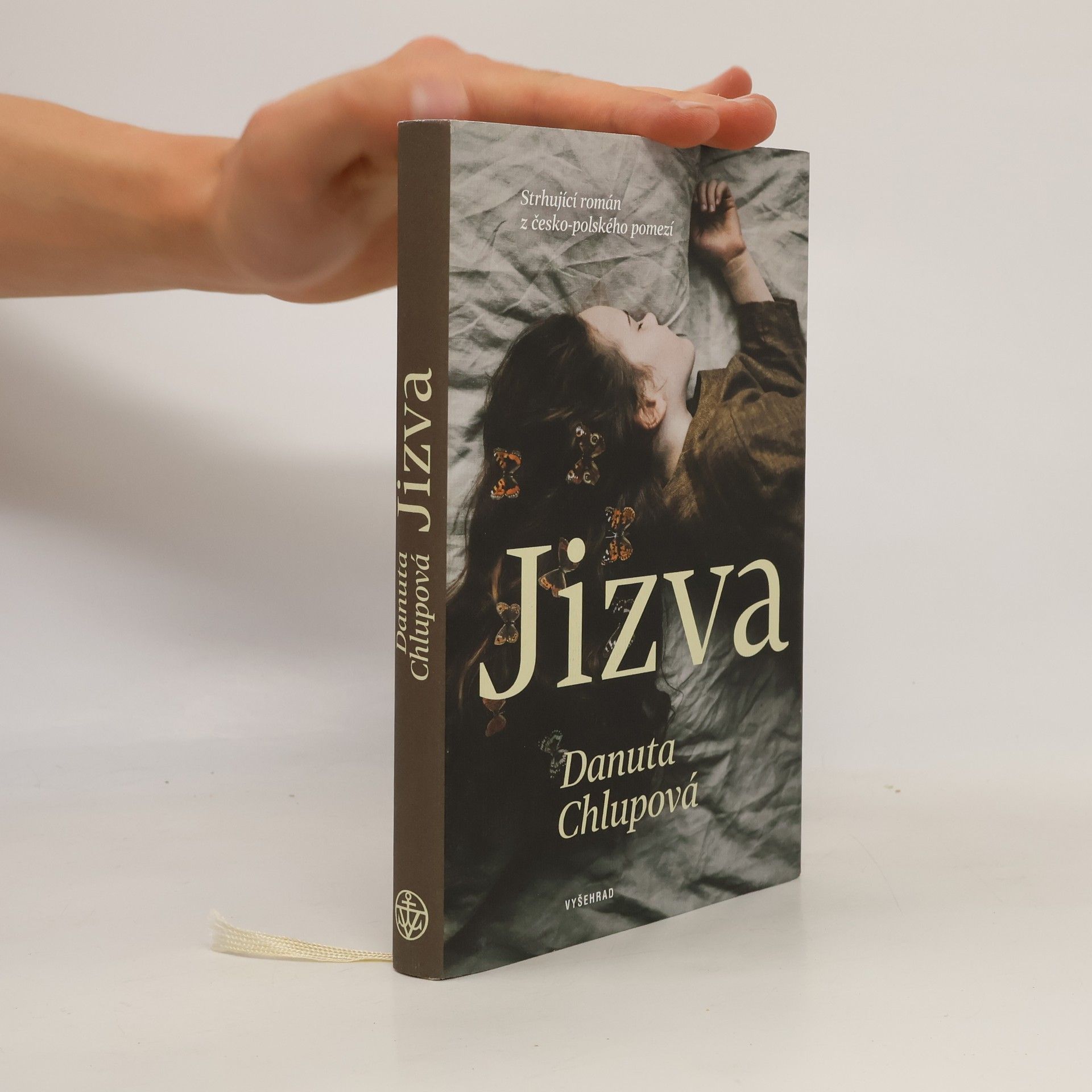 Danuta Chlupová Jizva