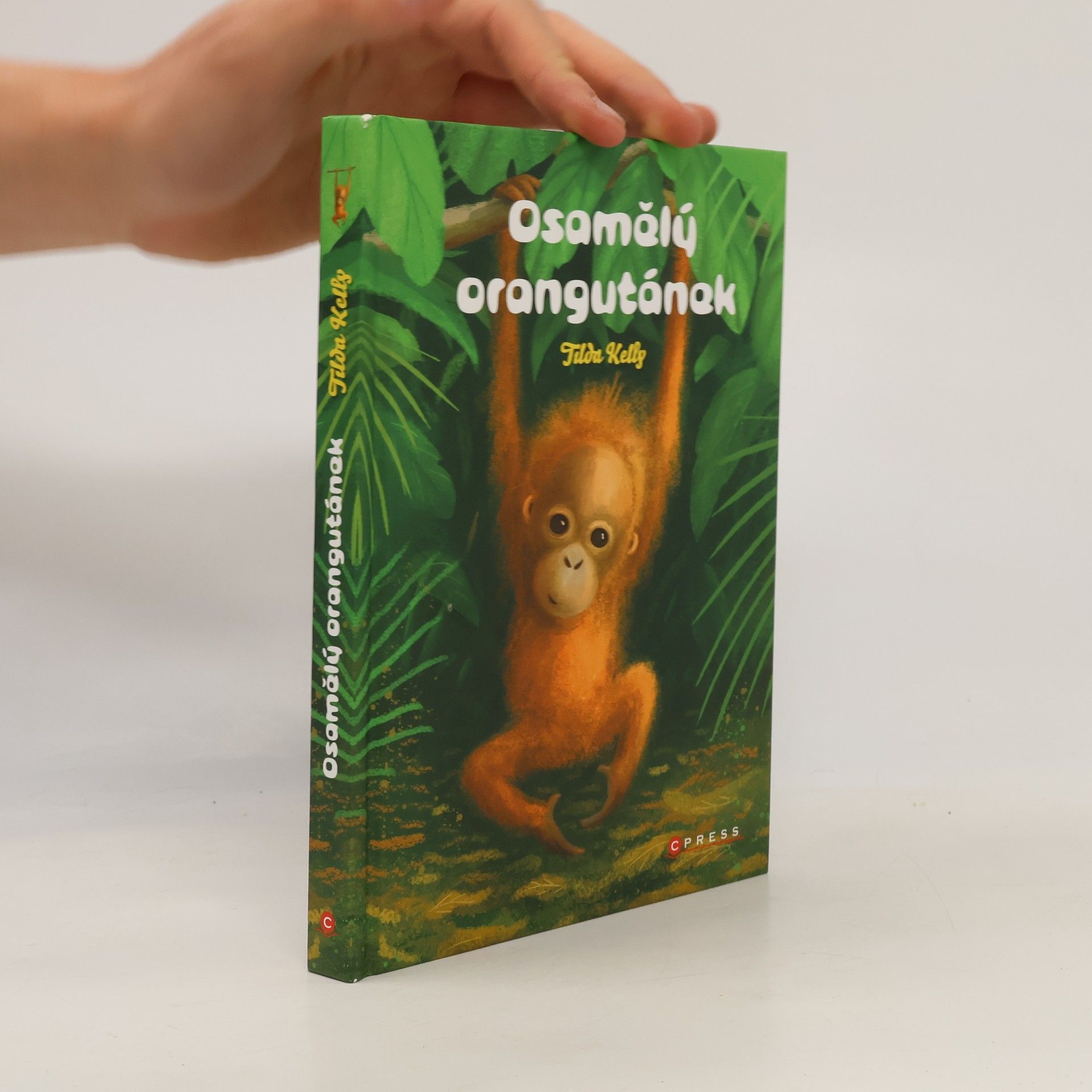 Osamělý orangutánek