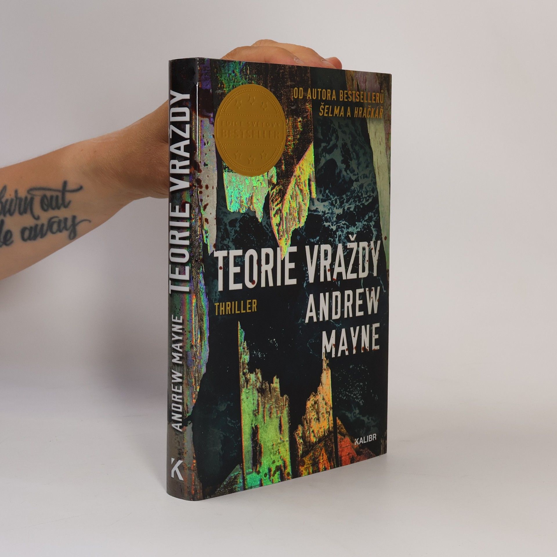 Andrew Mayne Teorie vraždy