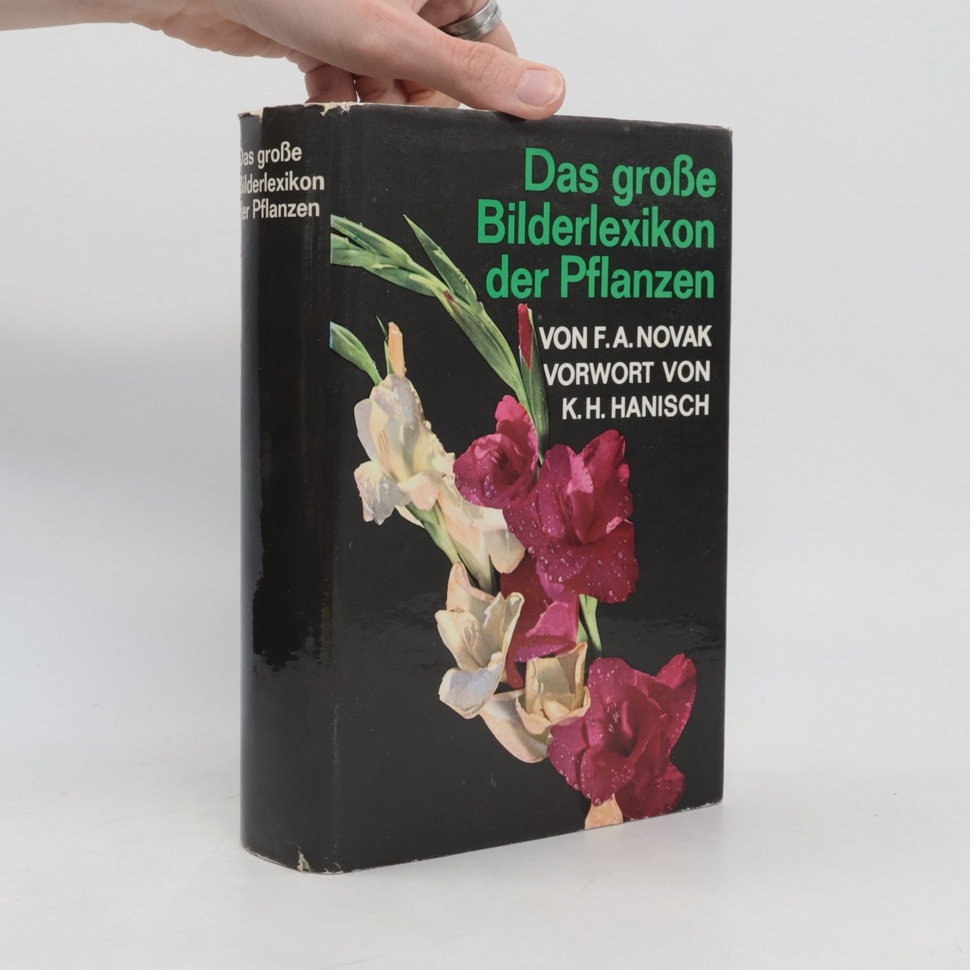 Novák F. A. Das grosse Bilderlexikon der Pflanzen