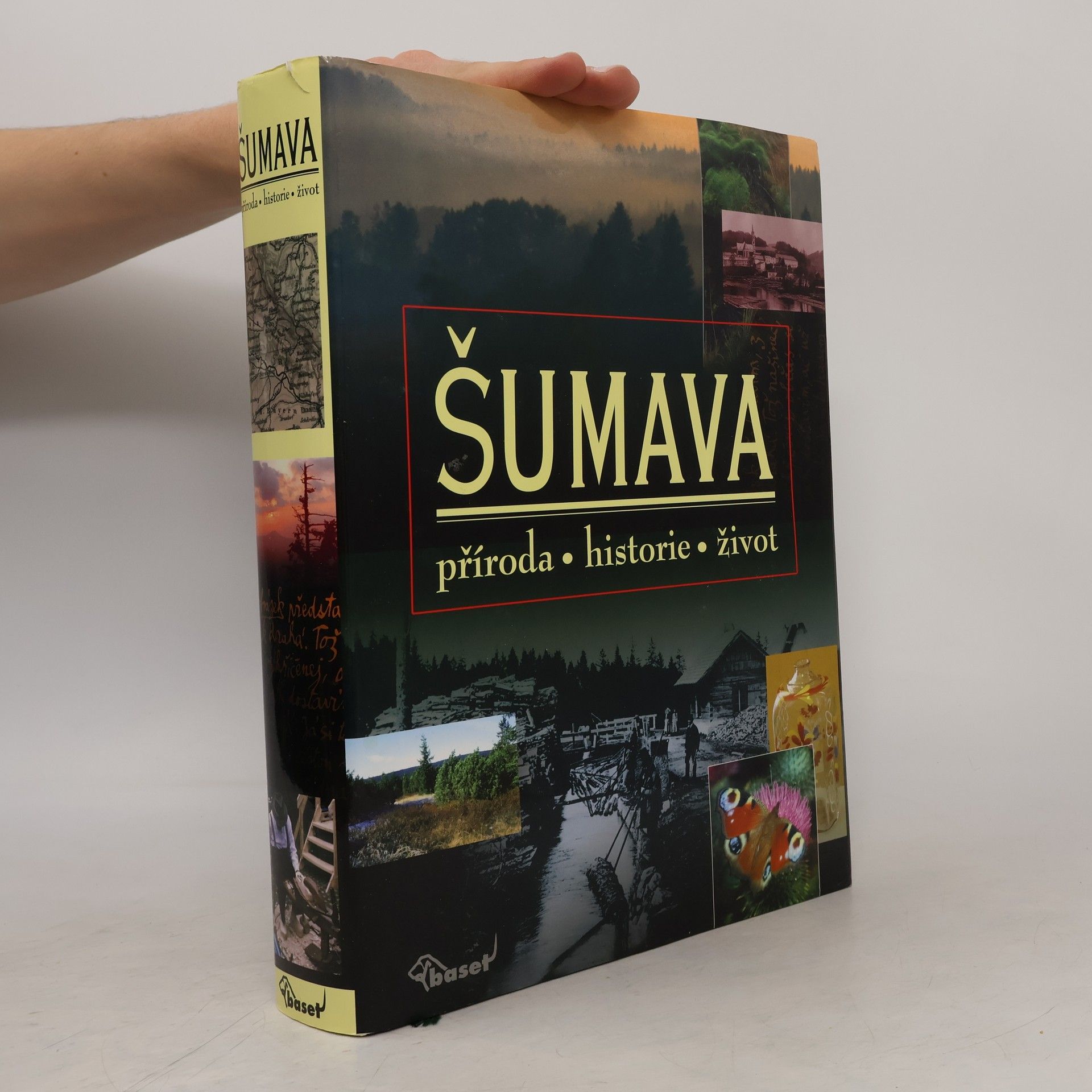 Collectif d'auteurs Šumava. Příroda, historie, život