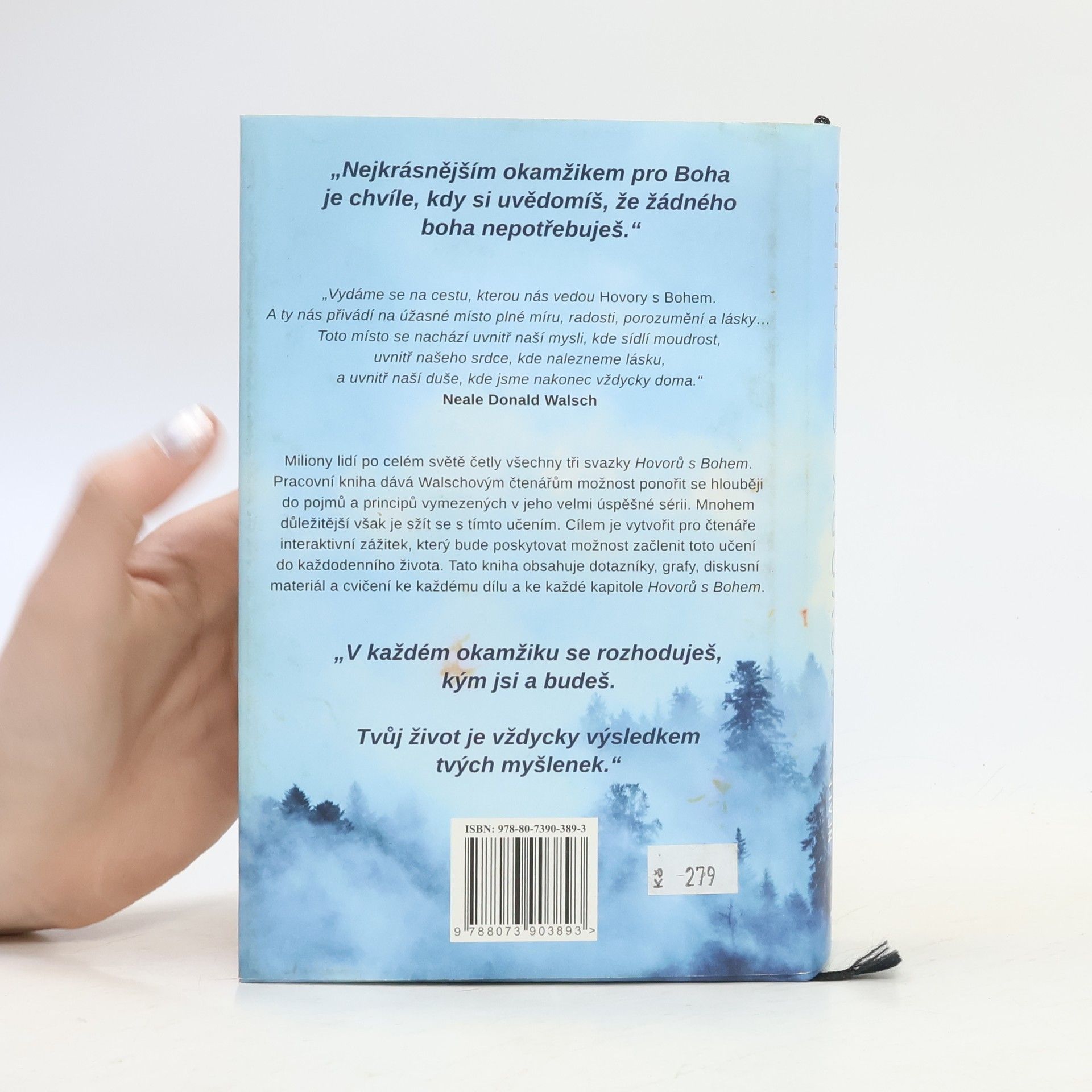 Neale Donald Walsch Hovory s Bohem: Pracovní kniha