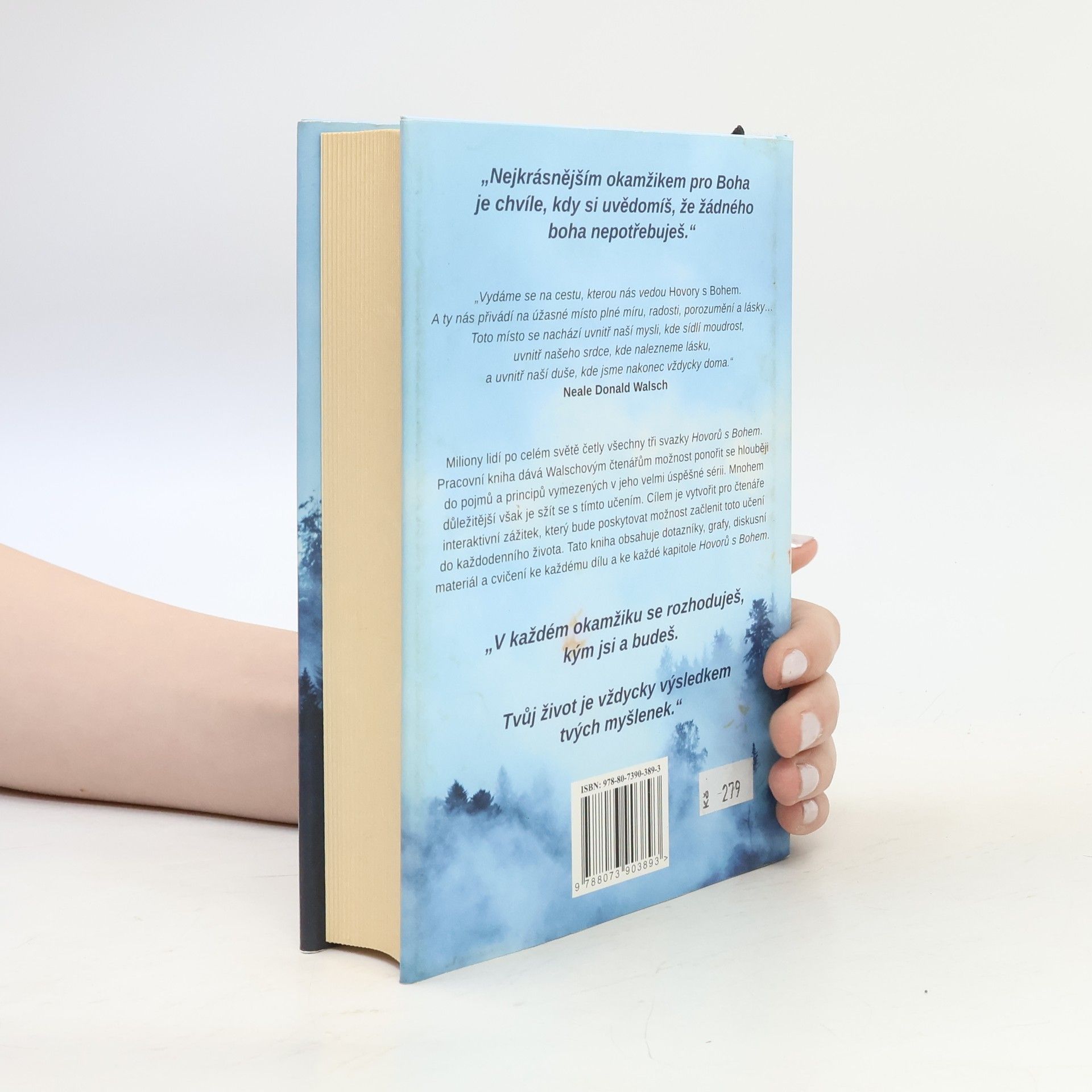 Neale Donald Walsch Hovory s Bohem: Pracovní kniha
