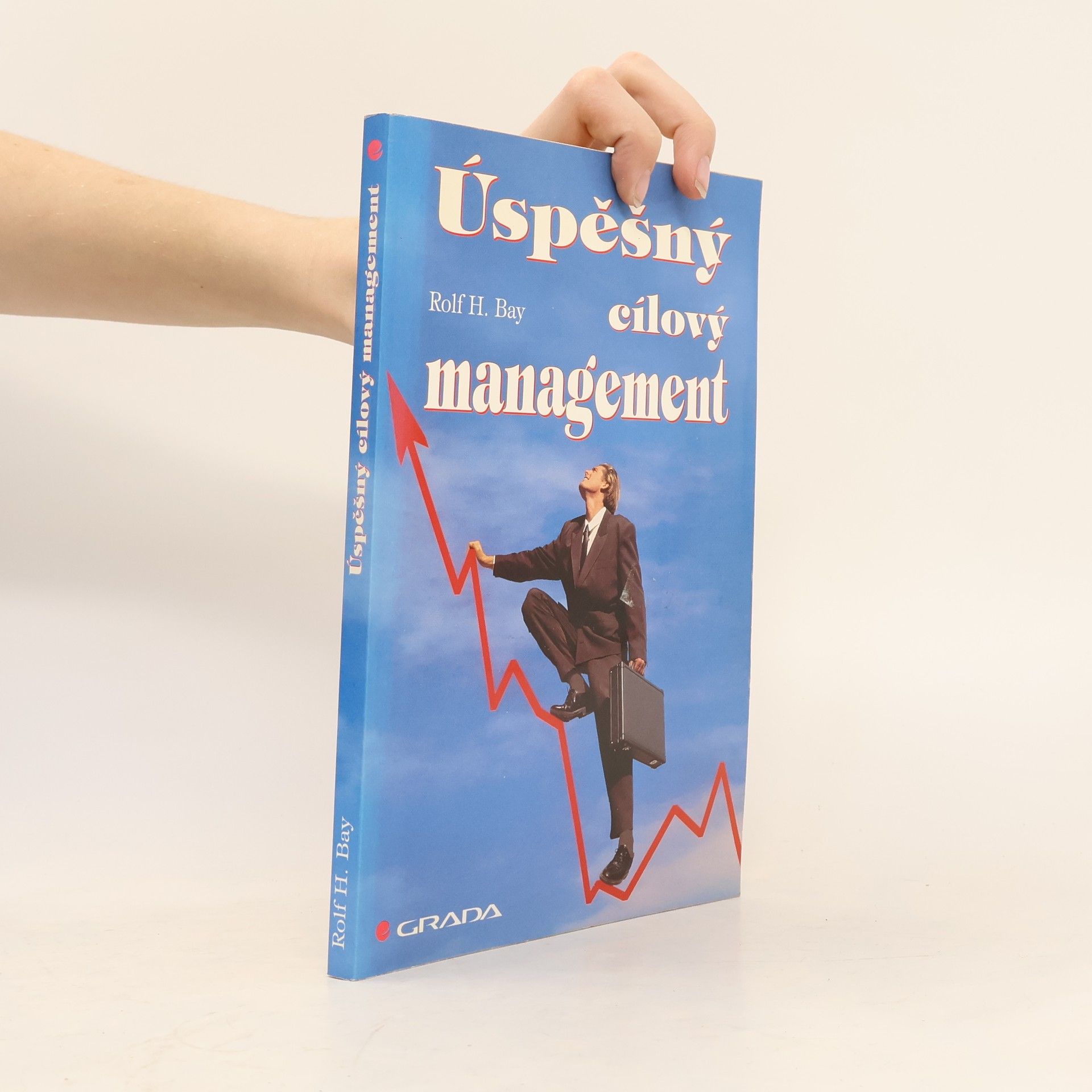 Rolf H. Bay Úspěšný cílový management. Základy cílového managementu pro vedoucí pracovníky