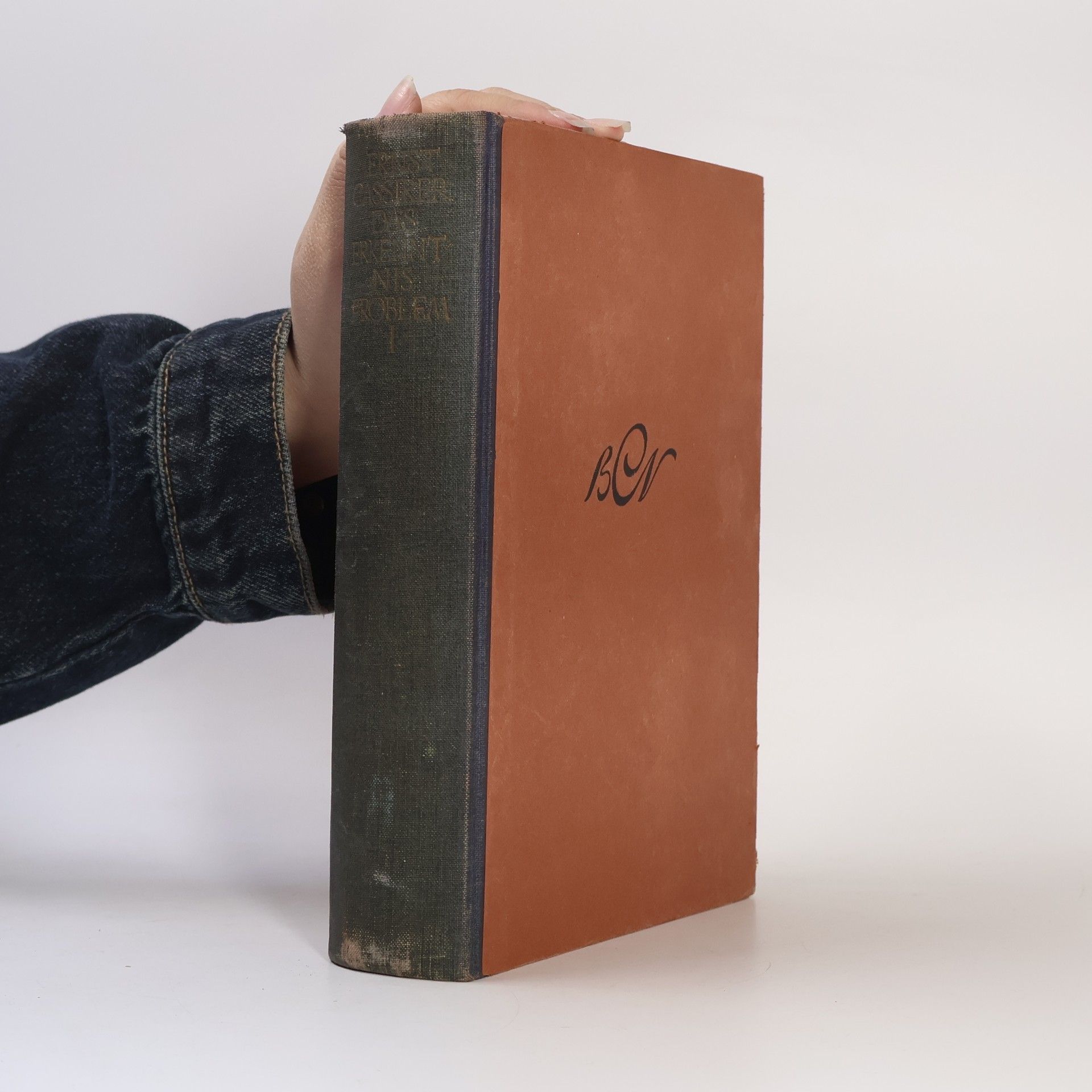 Das Erkenntnisproblem in der Philosophie und Wissenschaft der neueren Zeit