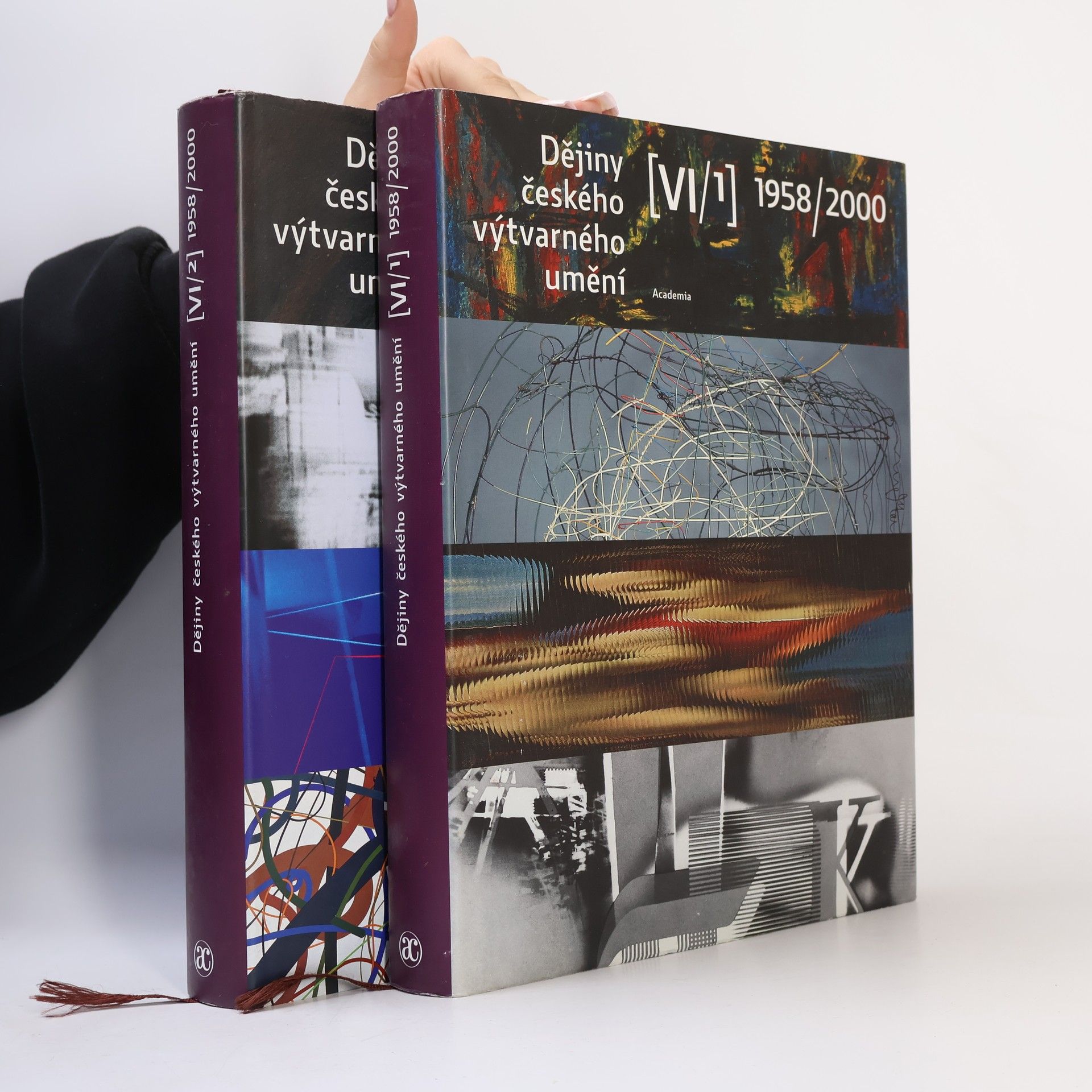 Polana Bregantová Dějiny českého výtvarného umění 1958-2000 VI./1,2