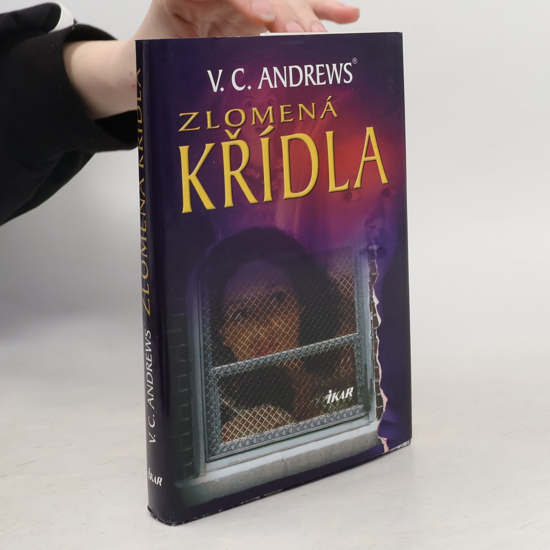 V. C. Andrews Zlomená křídla