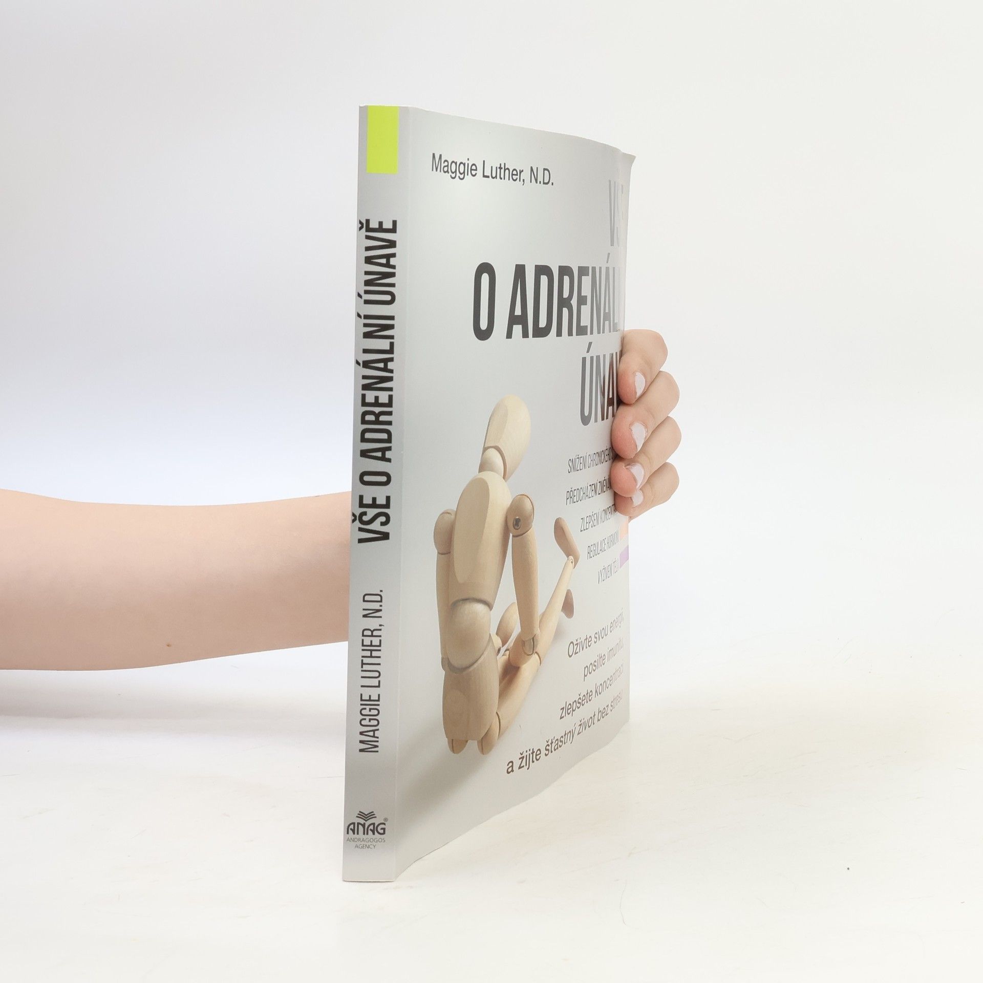 Martina Brunner-Bulst Vše o adrenální únavě : oživte svou energii, posilte imunitu, zlepšete koncentraci a žijte šťasný život bez stresu