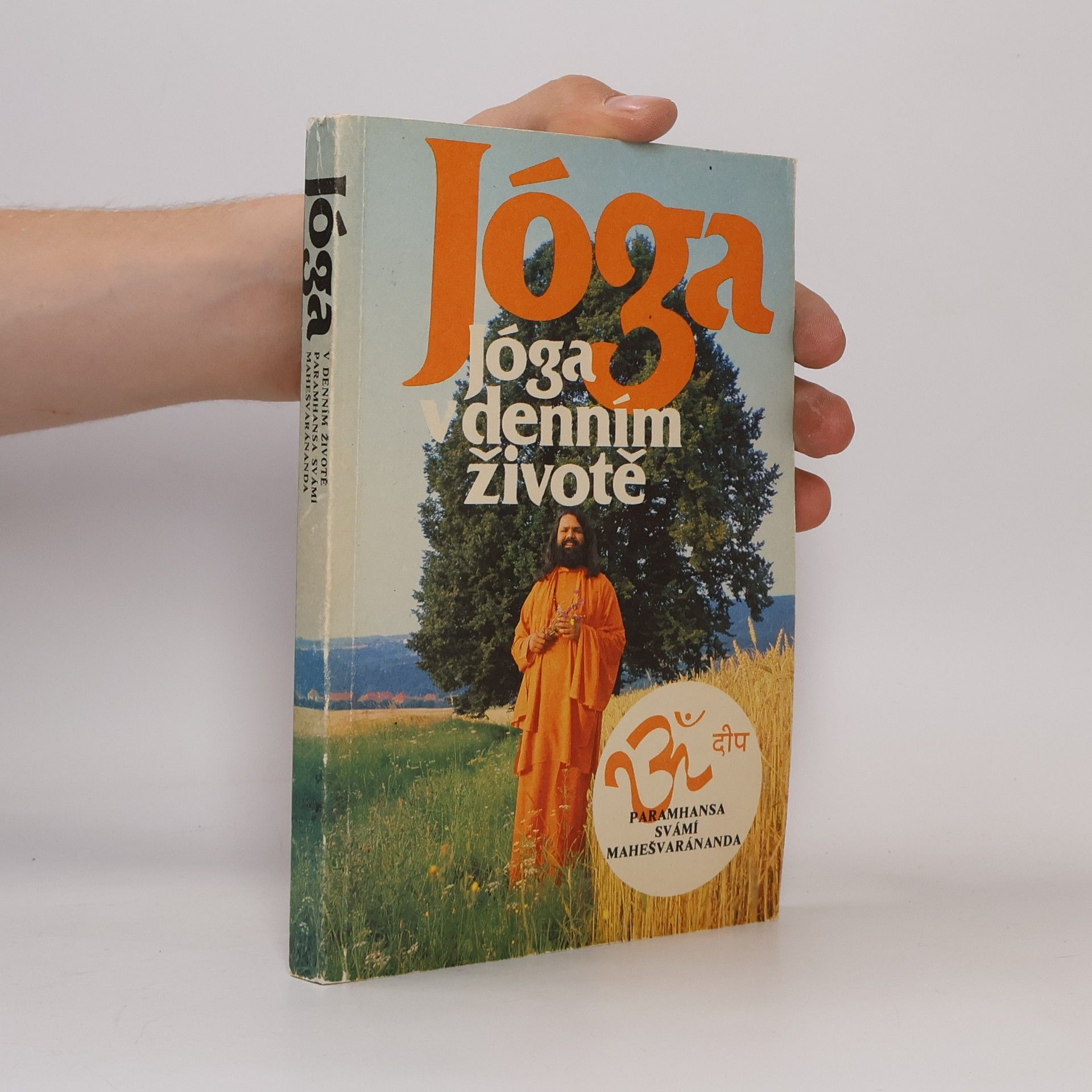 Collectif d'auteurs Jóga v denním životě. Paramhansa svámí. Mahešvaránanda