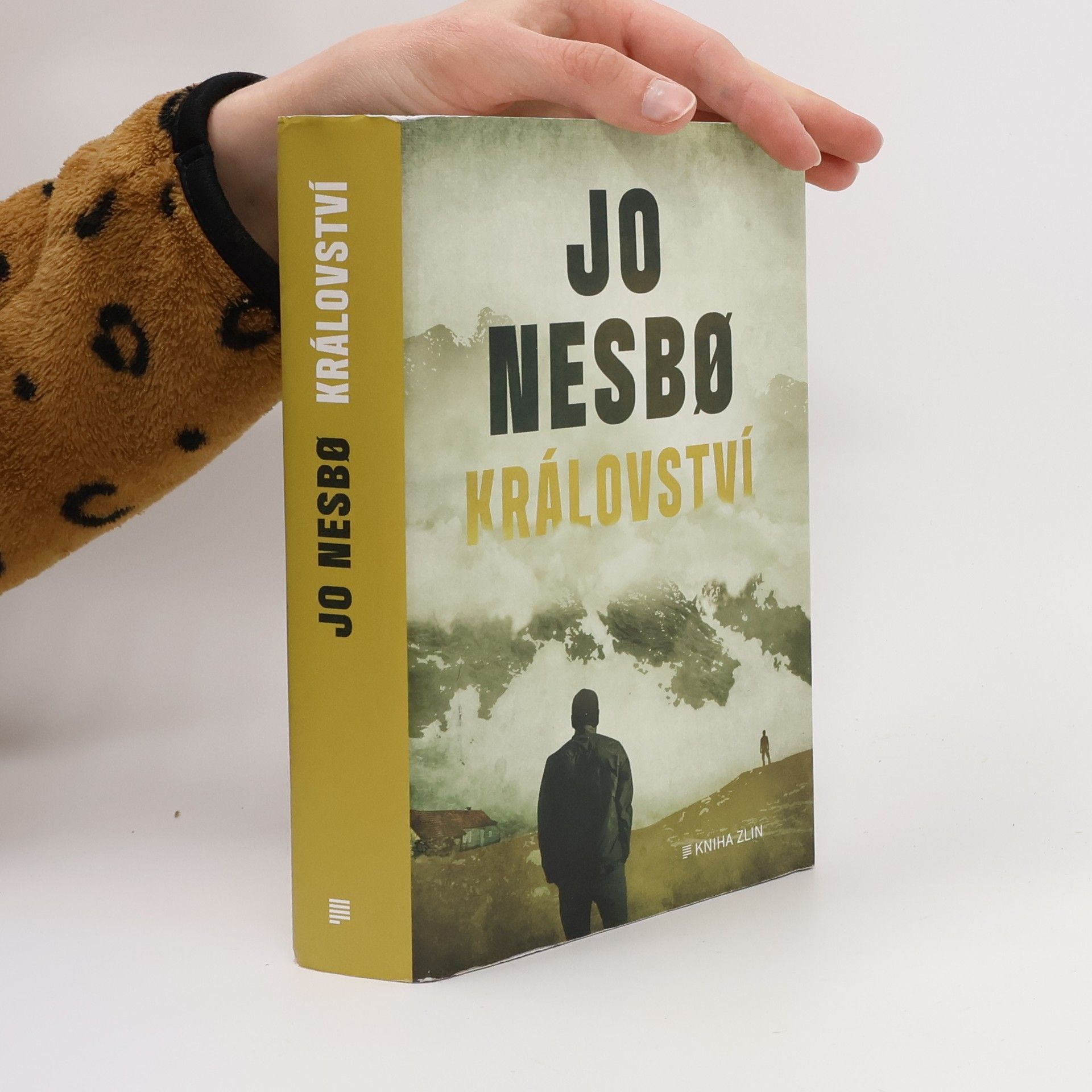 Jo Nesbø Království