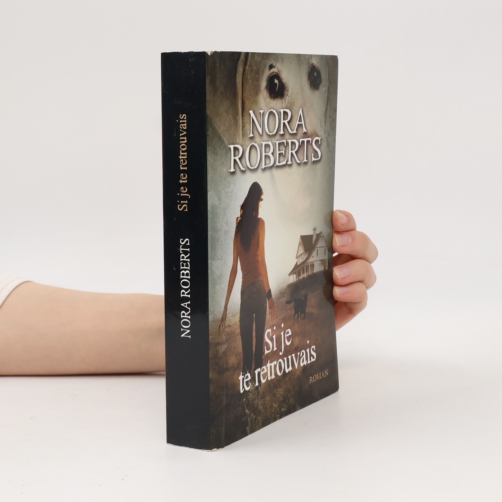 Nora Roberts Si je te retrouvais