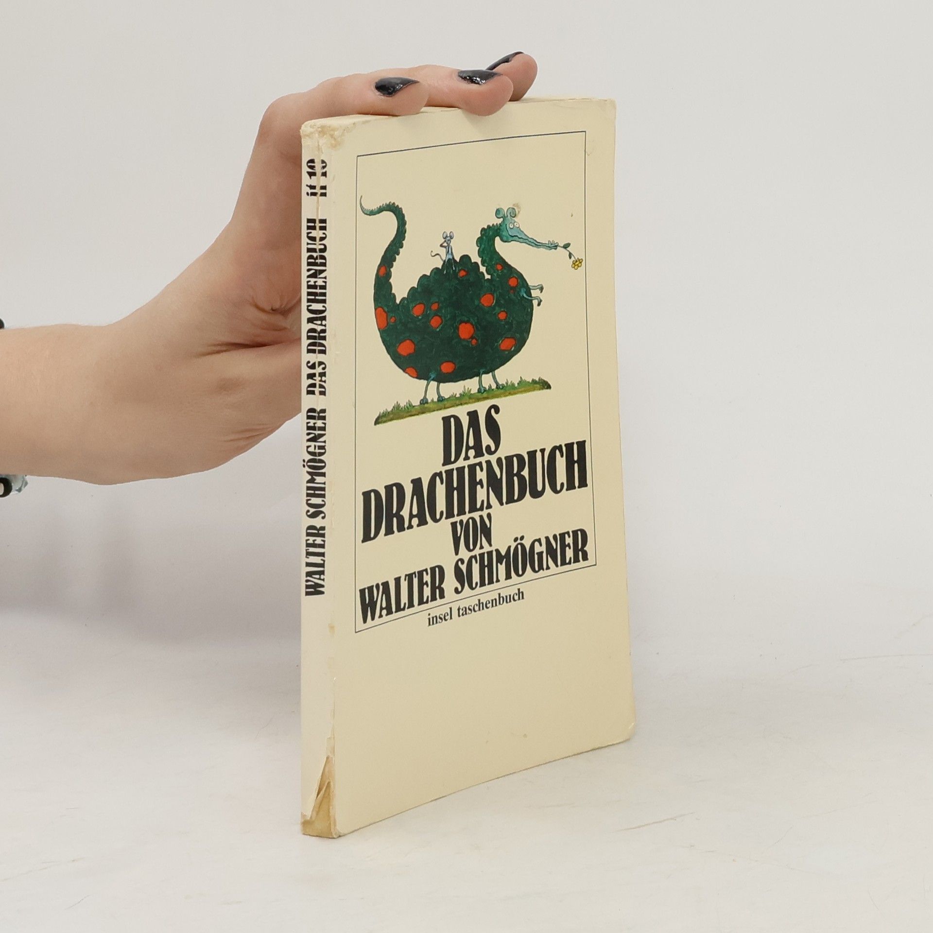 Walter Schmögner Das Drachenbuch