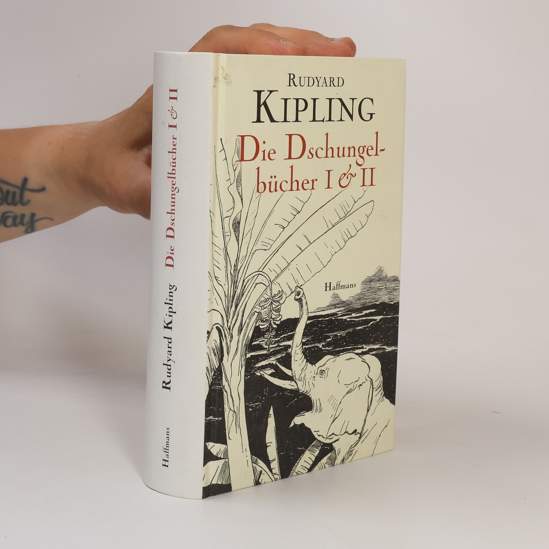 Rudyard Kipling Die Dschungelbücher I & II