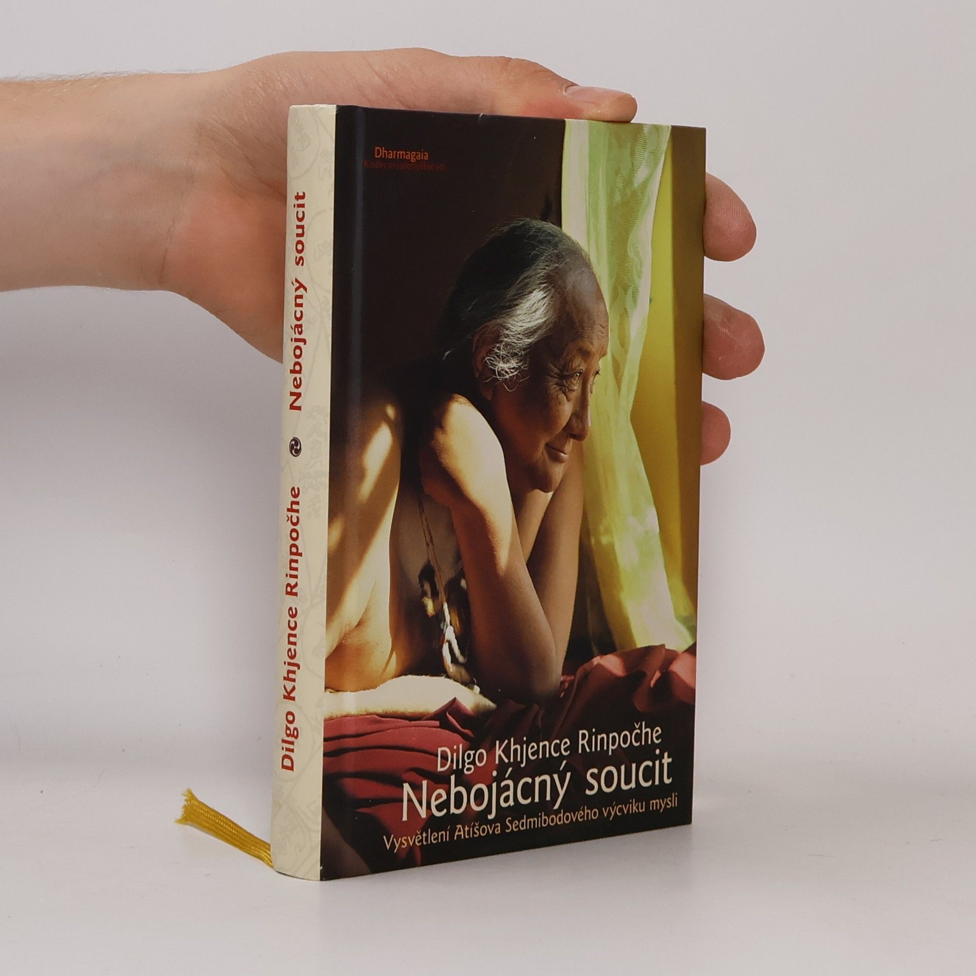 Dilgo Khyentse Nebojácný soucit