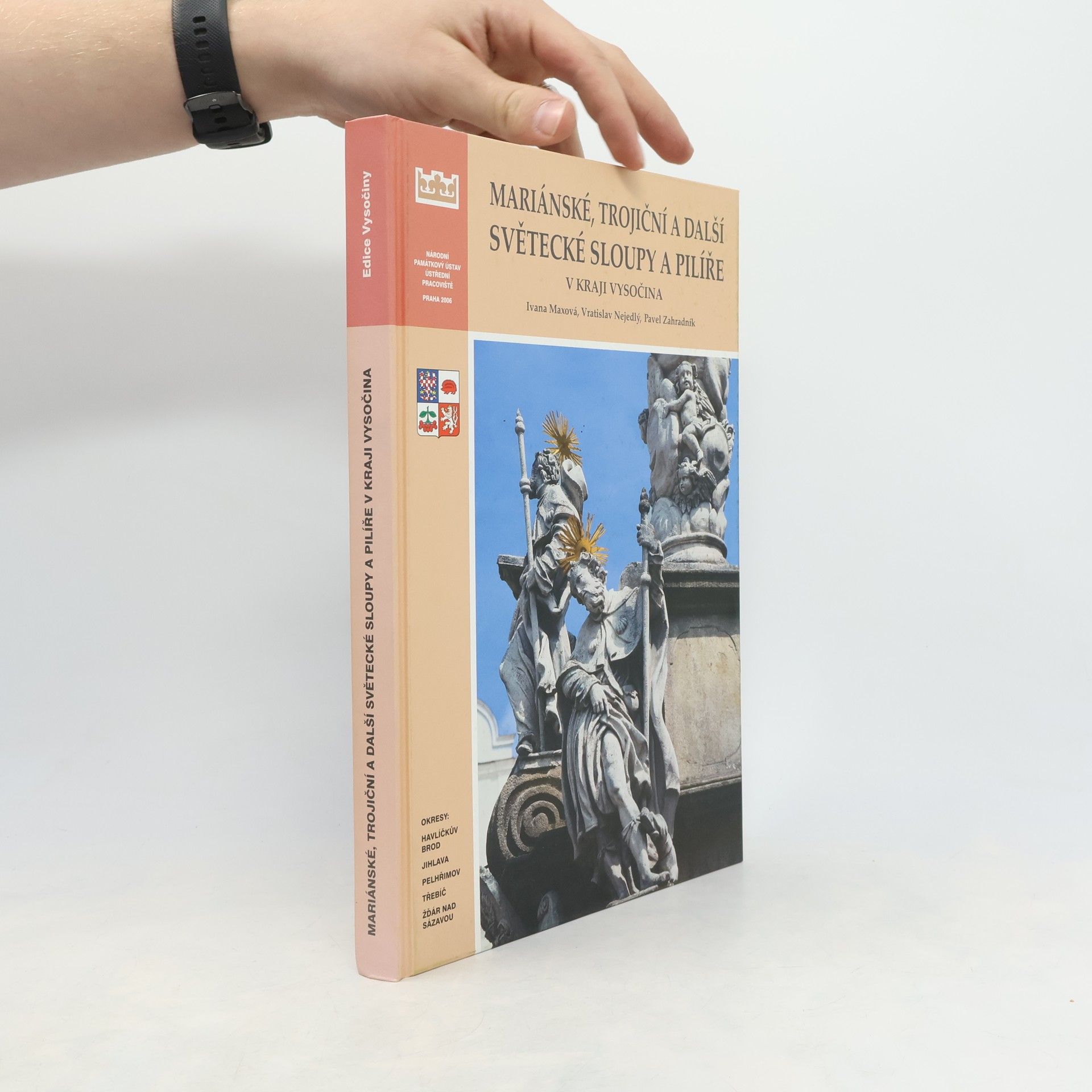 Ivana Maxová Mariánské, trojiční a další světecké sloupy a pilíře v Kraji Vysočina
