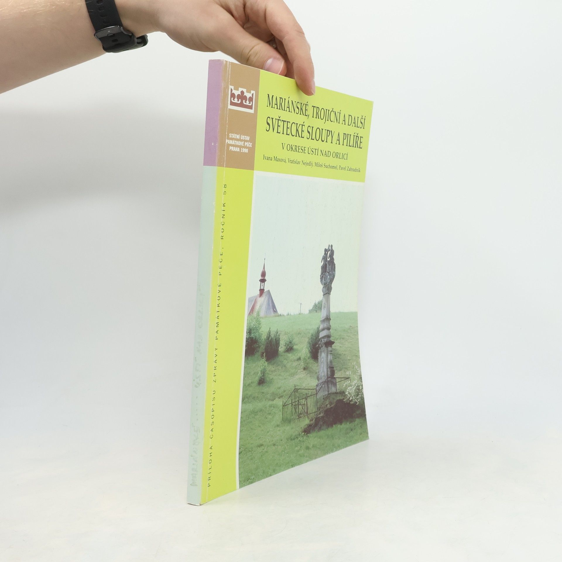 Various authors Mariánské, trojiční a další světecké sloupy a pilíře v okrese Ústí nad Orlicí