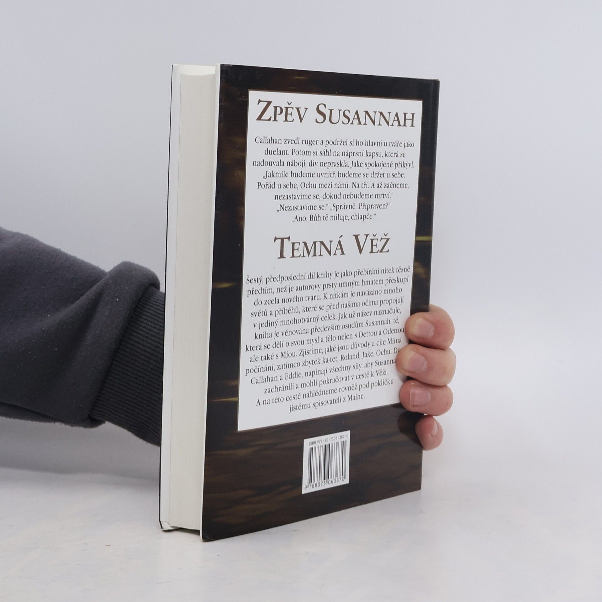 Stephen King Temná věž: Zpěv Susannah