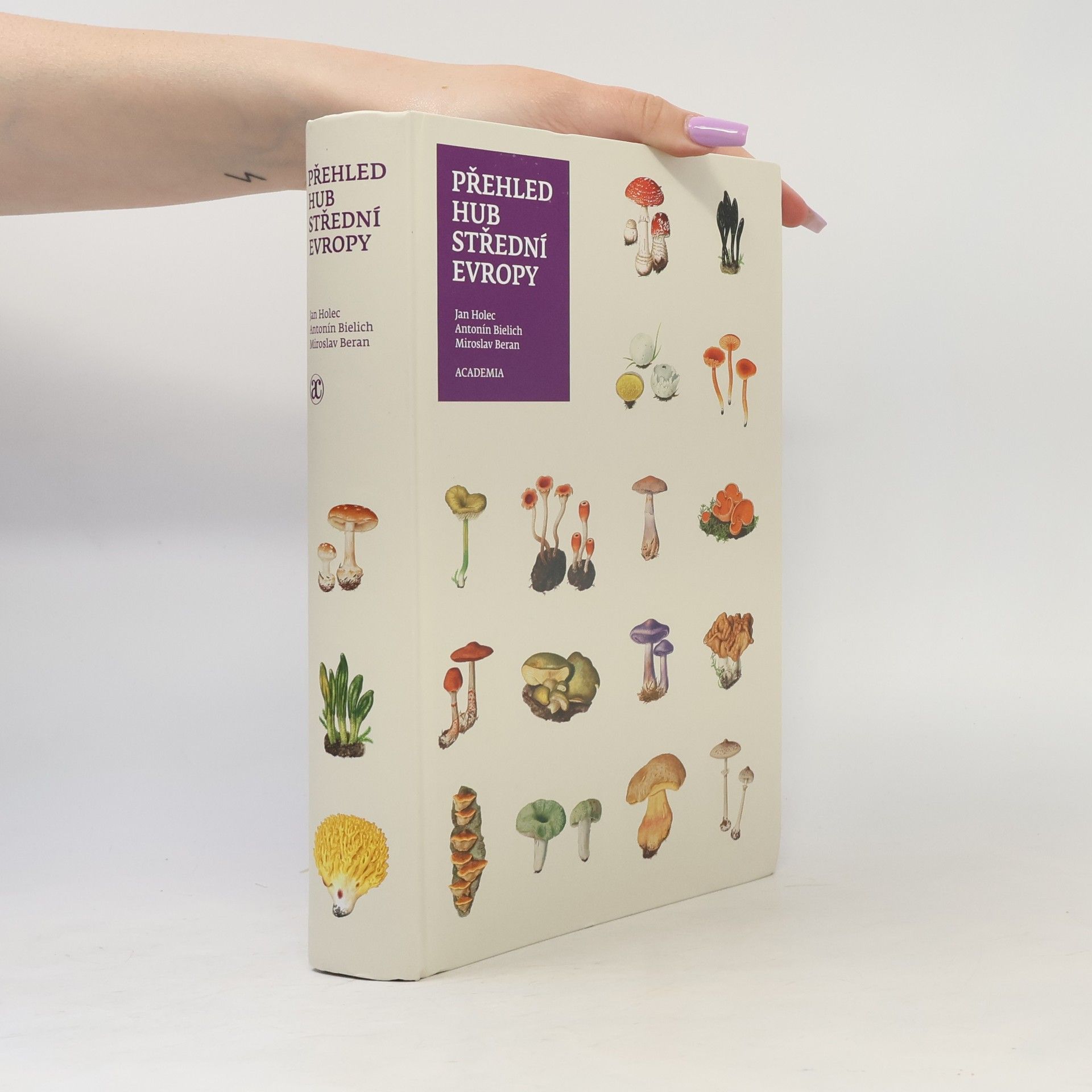 Miroslav Beran Přehled hub střední Evropy