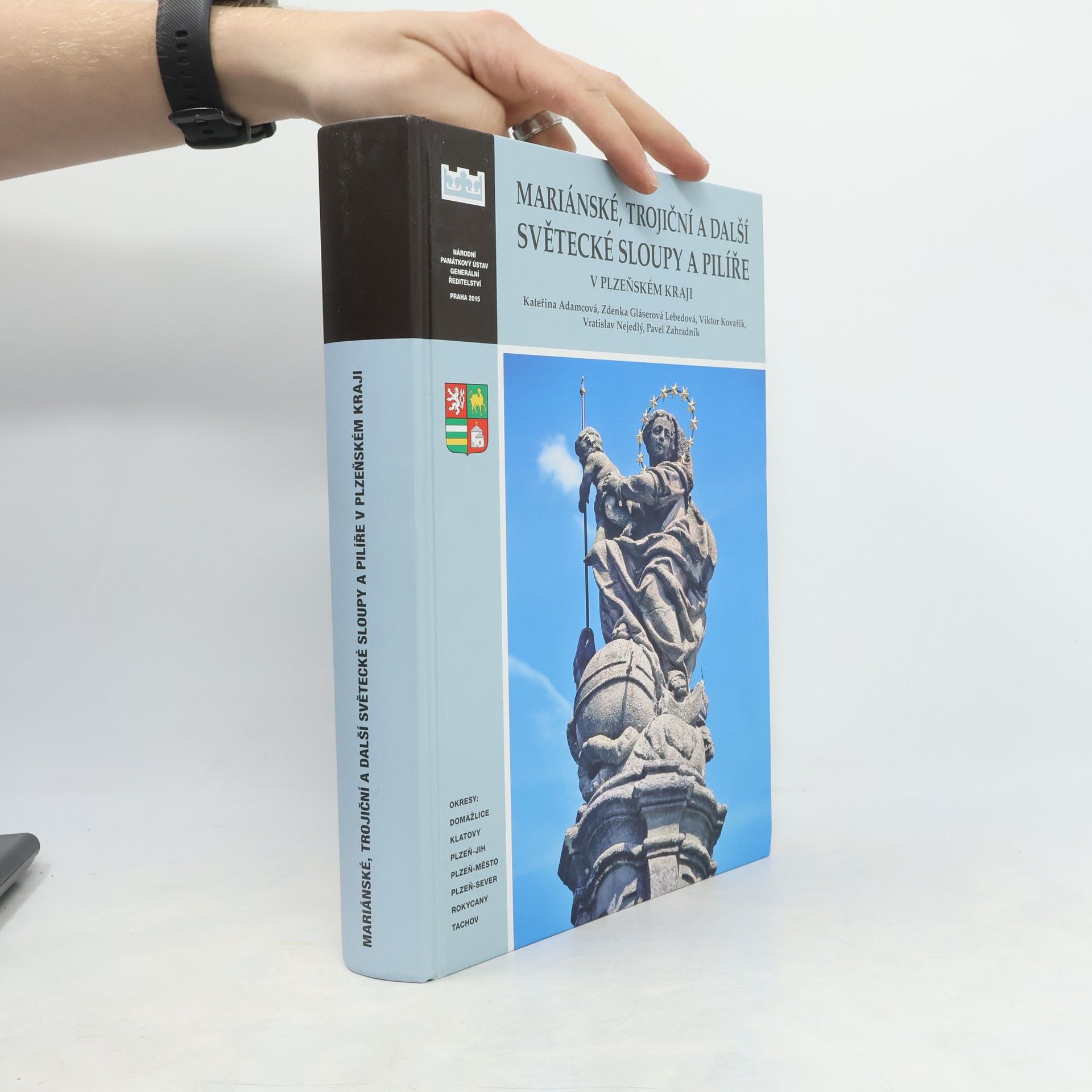 Mariánské, trojiční a další světecké sloupy a pilíře v Plzeňském kraji