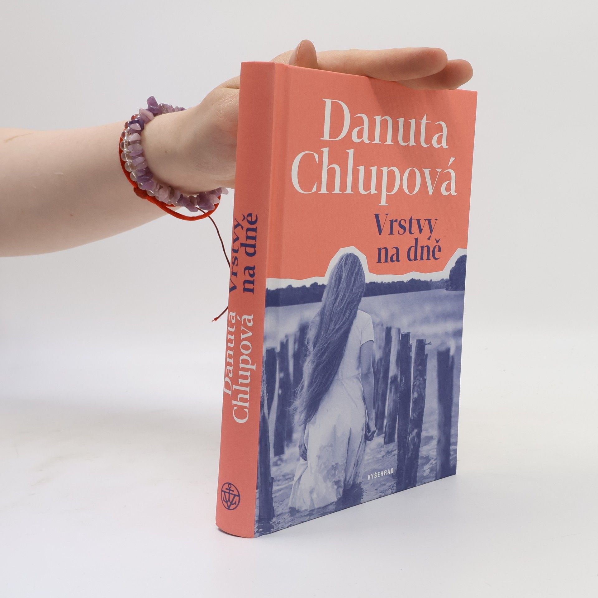 Danuta Chlupová Vrstvy na dně