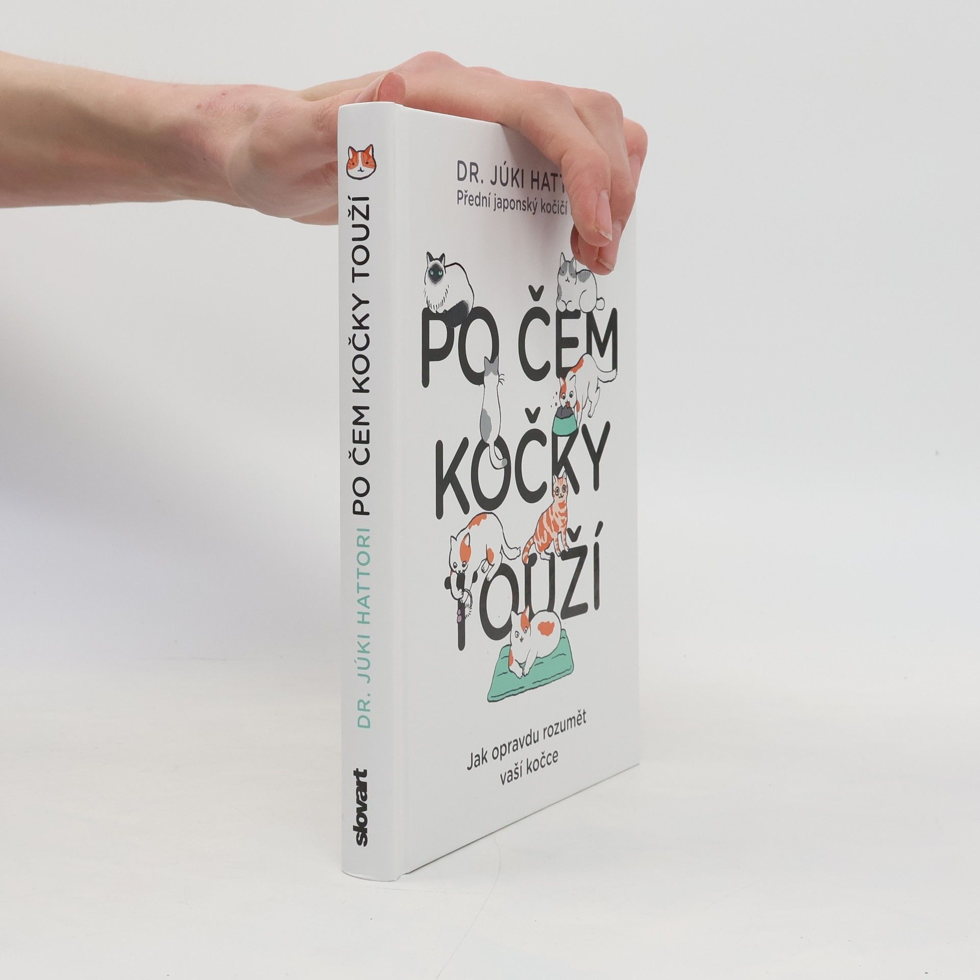 Júki Hattori Po čem kočky touží : jak opravdu rozumět vaší kočce